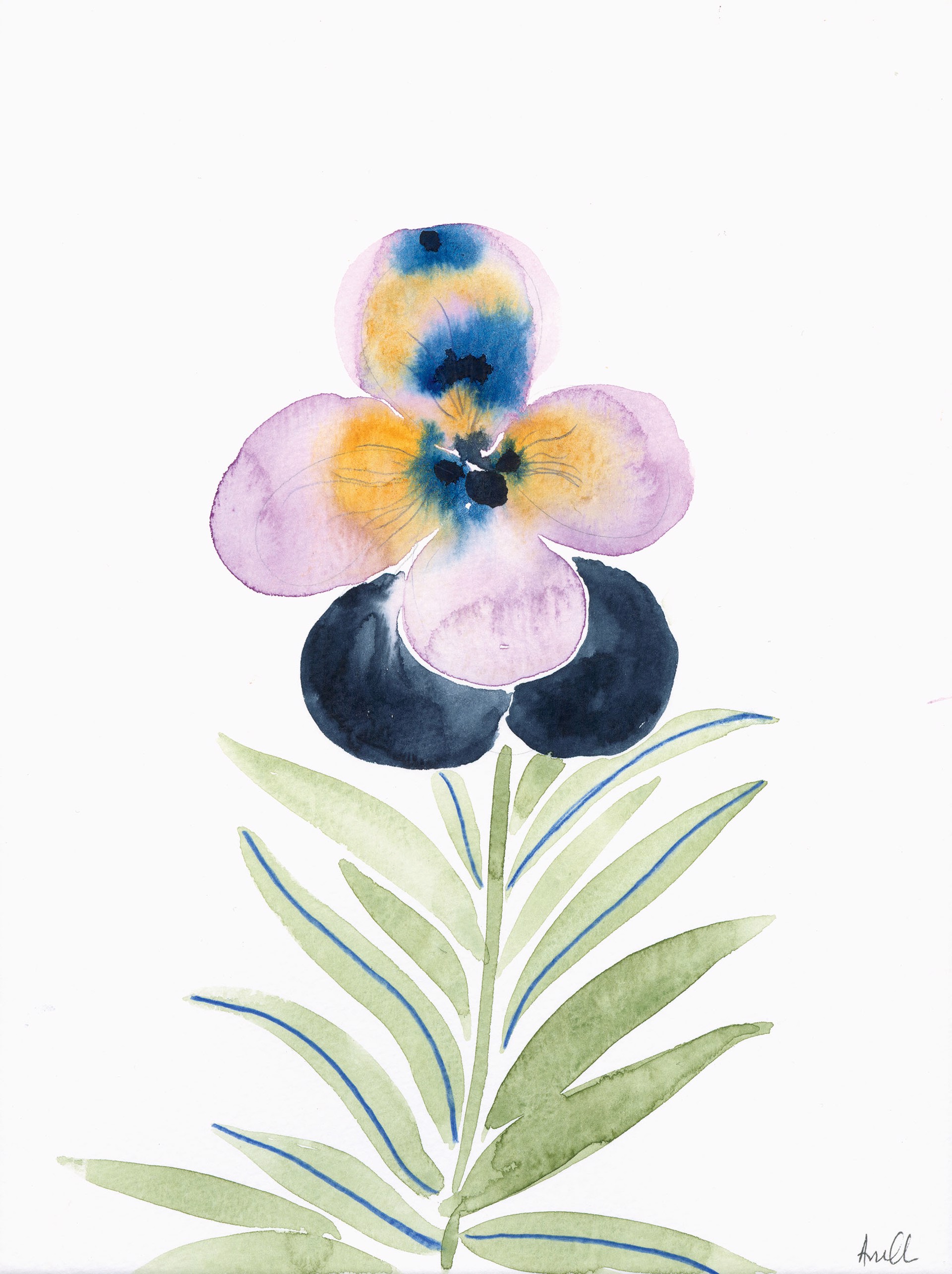 Pansy I by Anine Cecilie Iversen