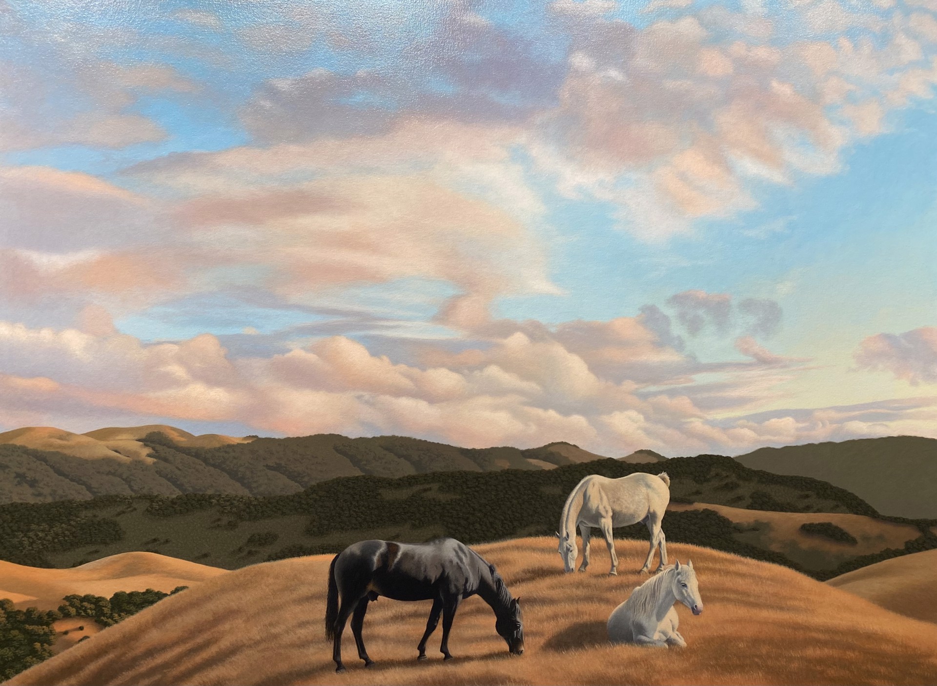 Three Horses by Andrea Johnson