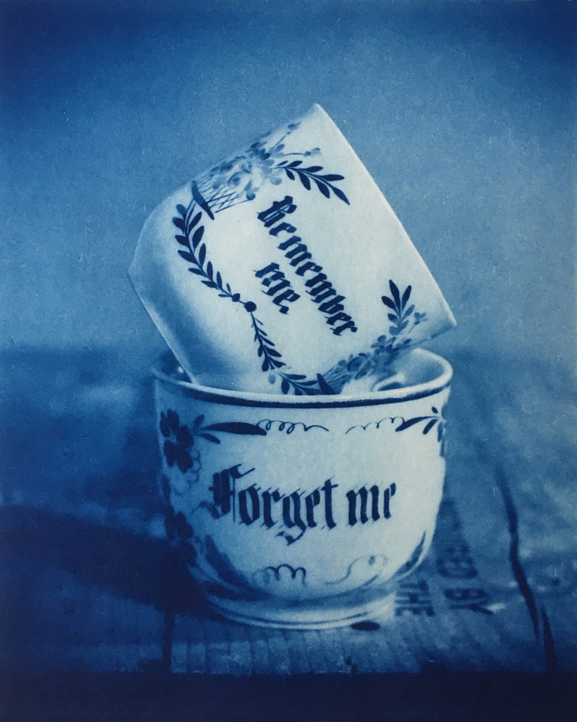 Remember Me, Forget Me by David Sokosh