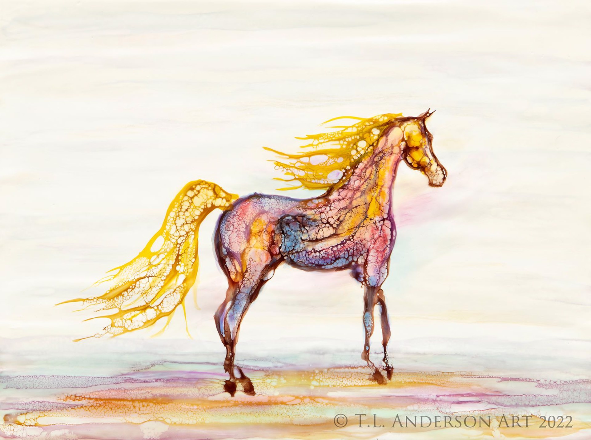 Aura Horse by Tracy Anderson