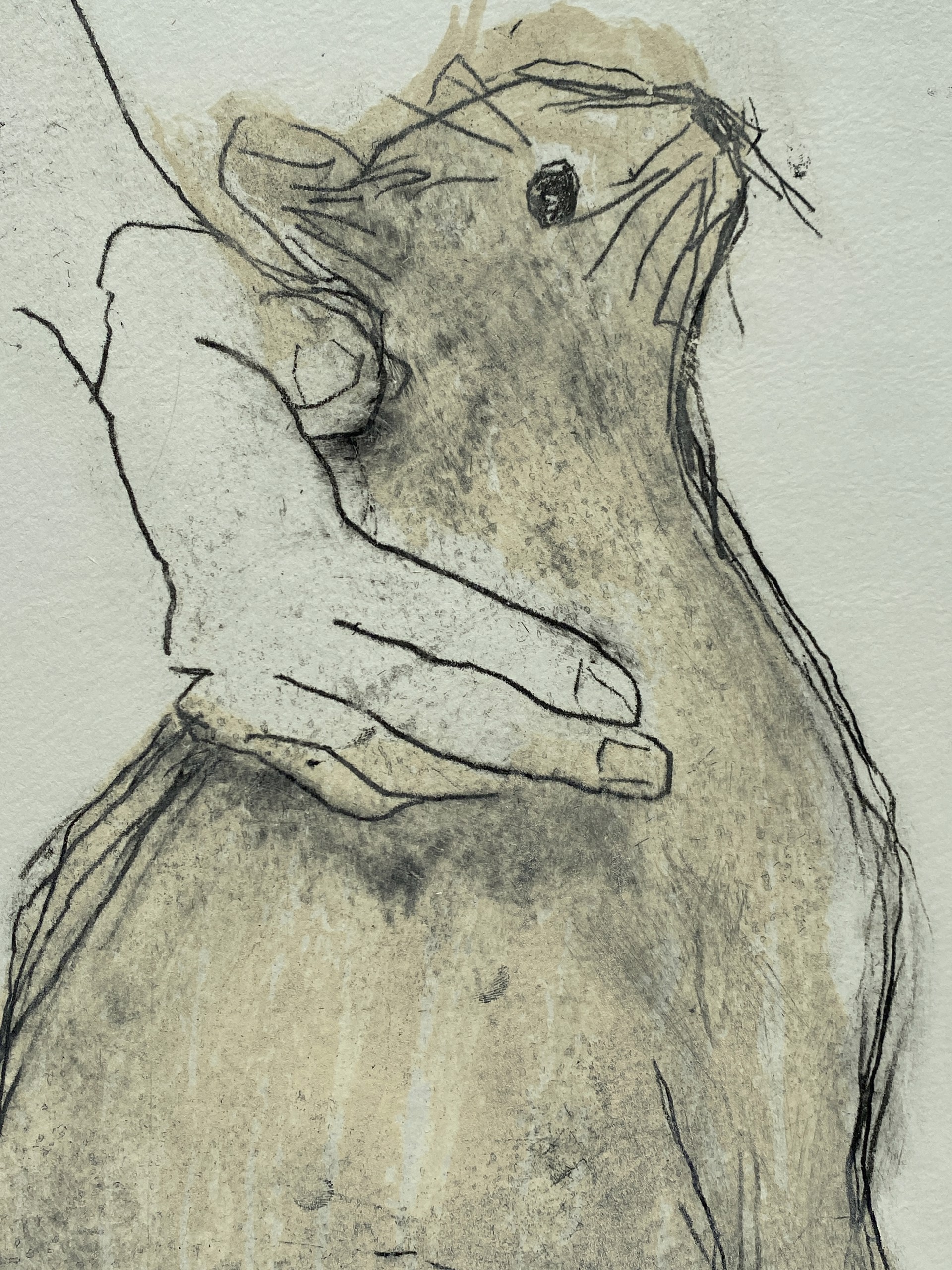 Third Greek Cat (Cobalt) by Paula Schuette Kraemer