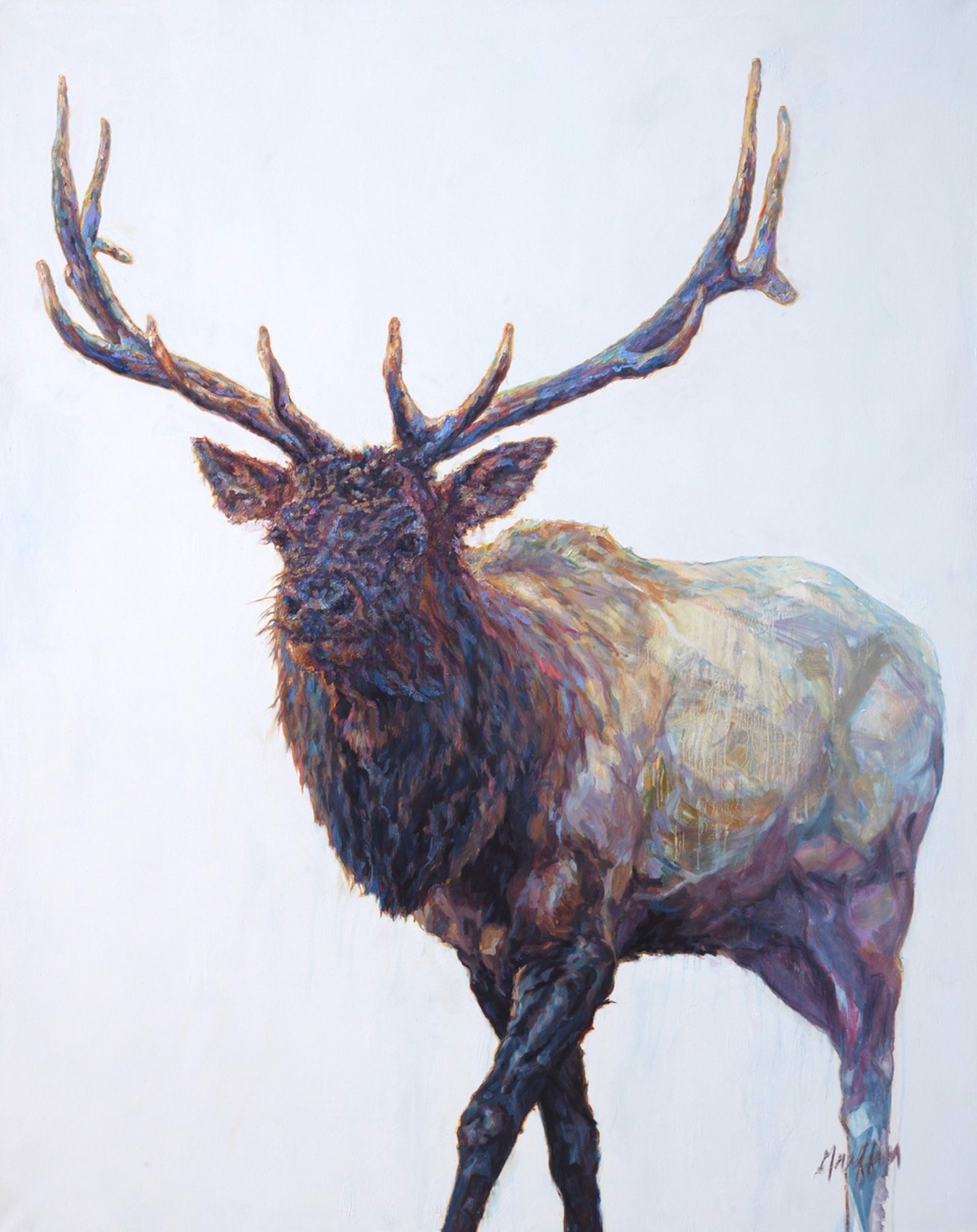 Patricia Griffin Elk In Oil On Linen, A Contemporary Fine Art Painting and Modern Wildlife Art Piece Available At Gallery Wild