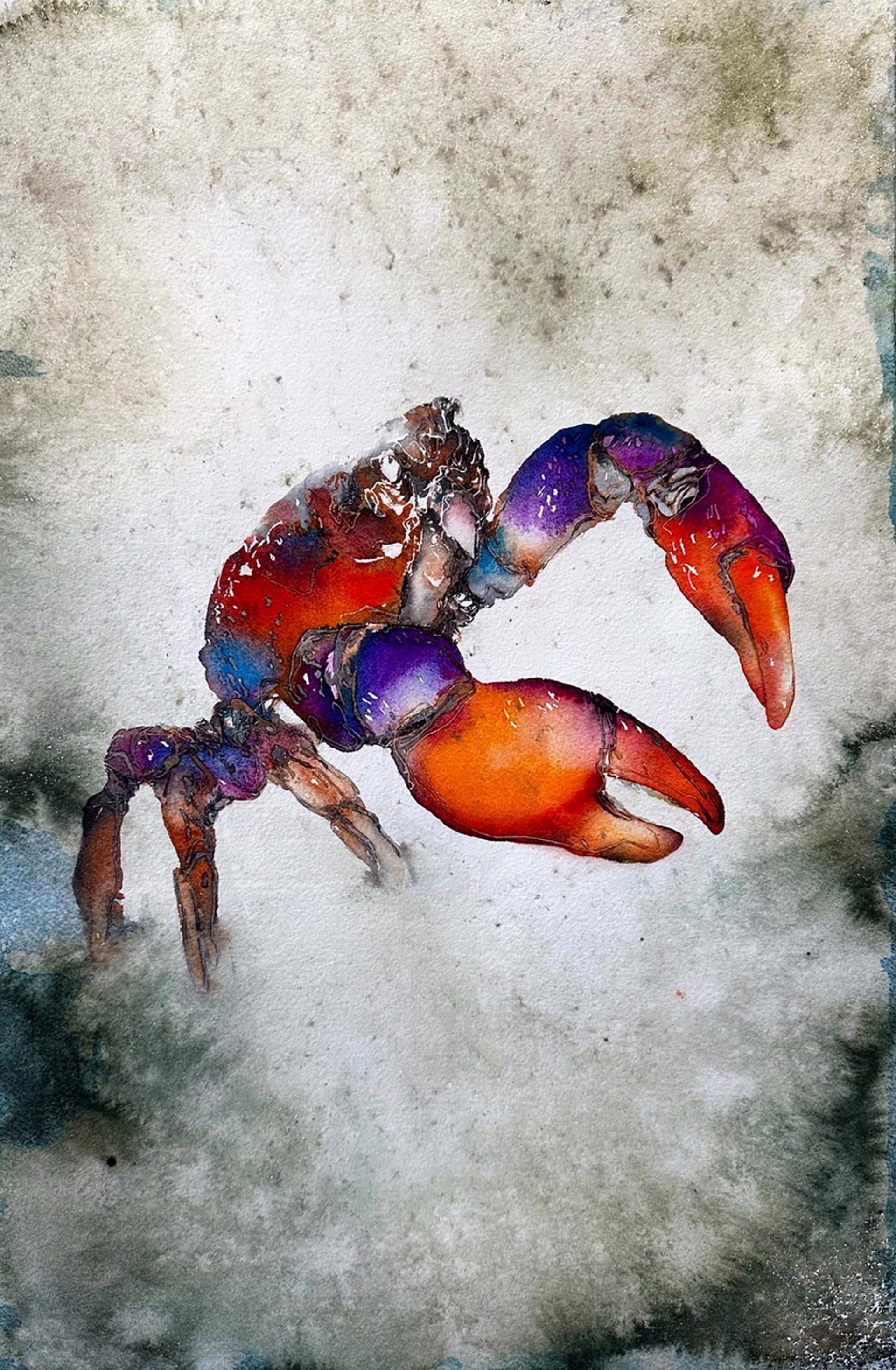 Crab by Carol Carter