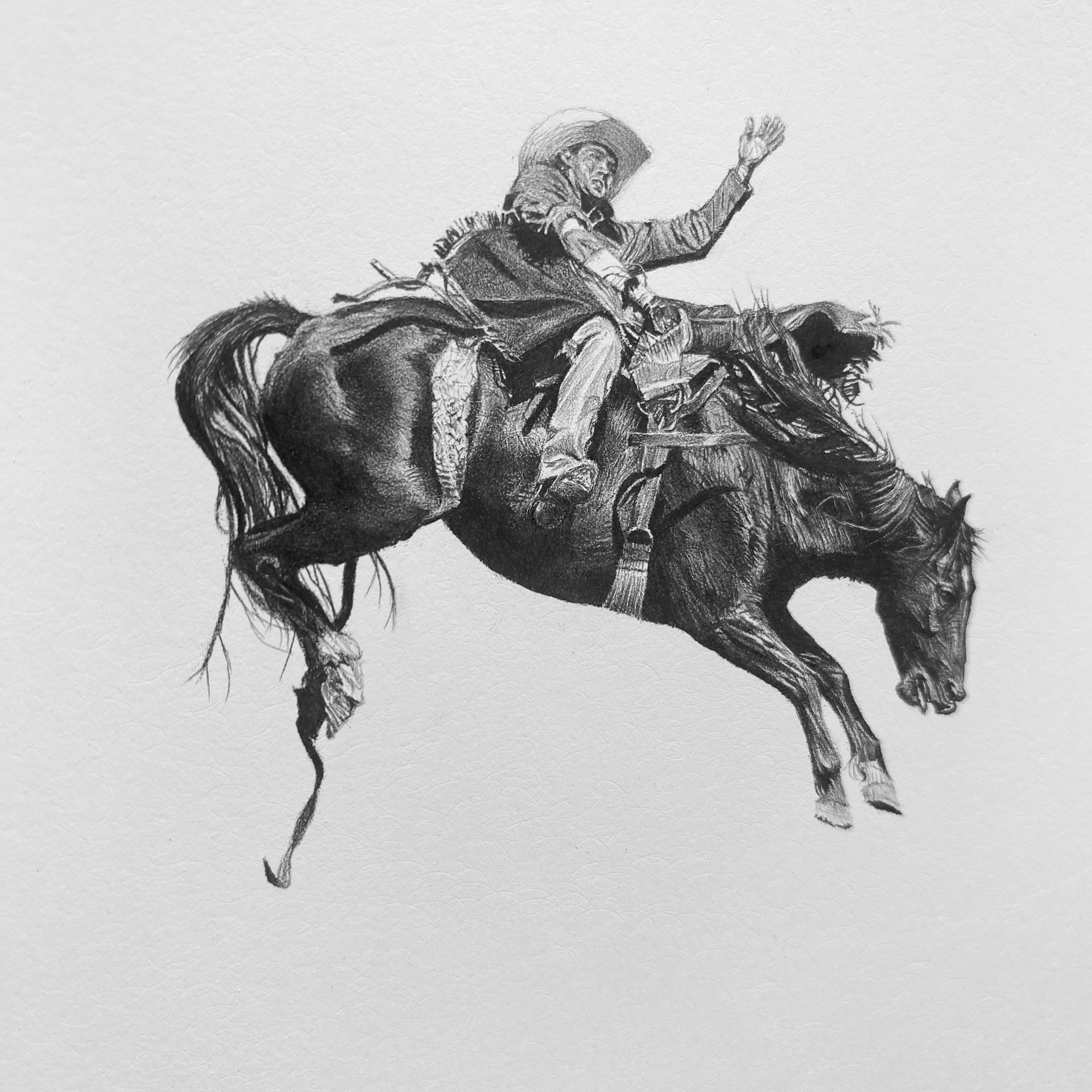 Untitled (bronc rider 6381) by Clayton Porter