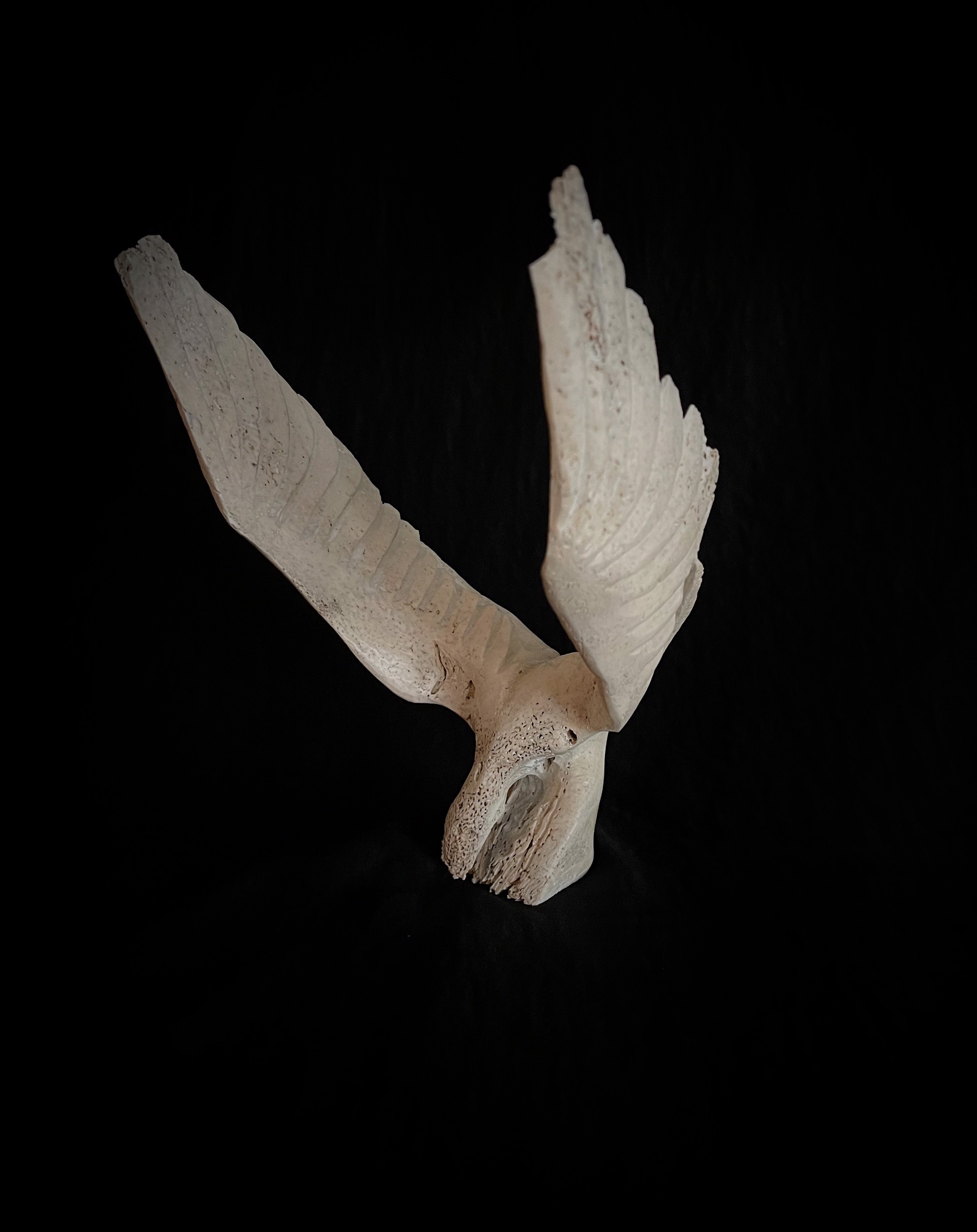 Bird Jawbone Sculpture by Leo Angotignuar