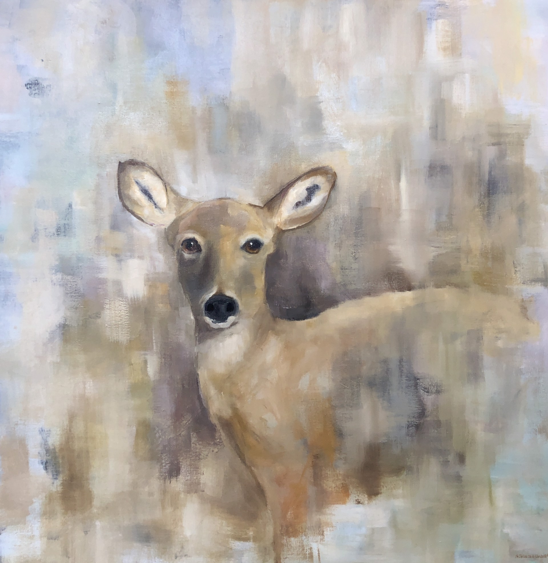 Doe the Deer by Nancy Armstrong