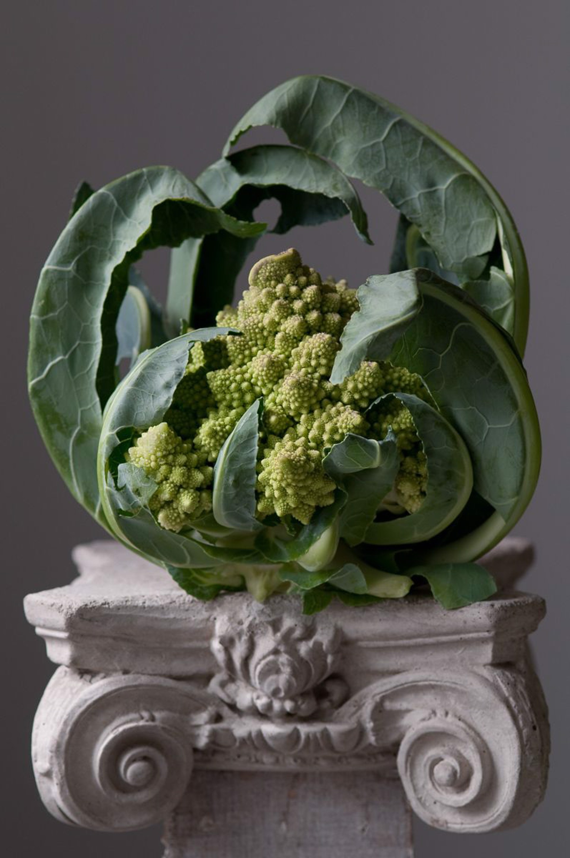 Romanesco Cauliflower by Lynn Karlin