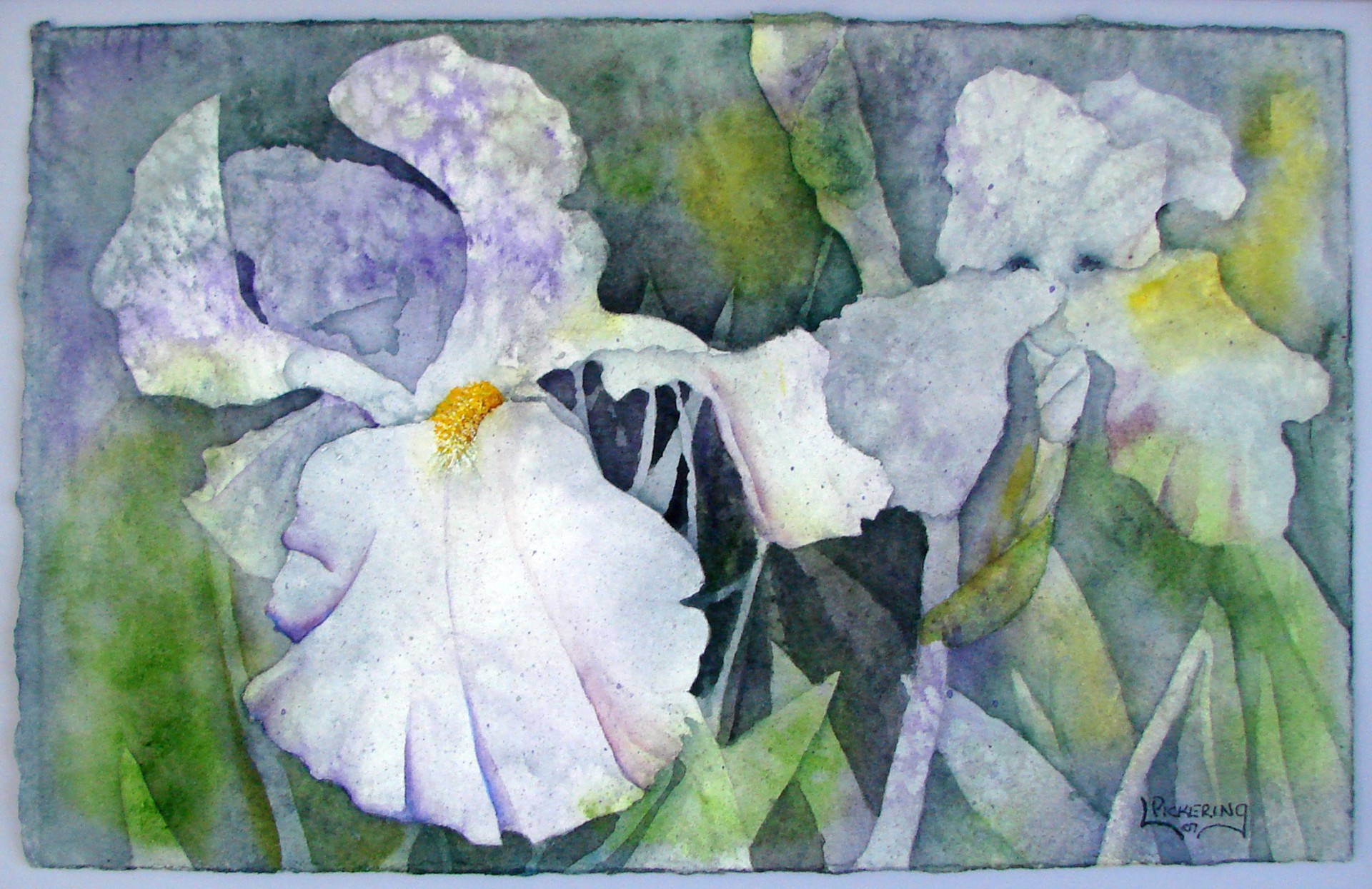 Purple Iris III by Laura Pickering