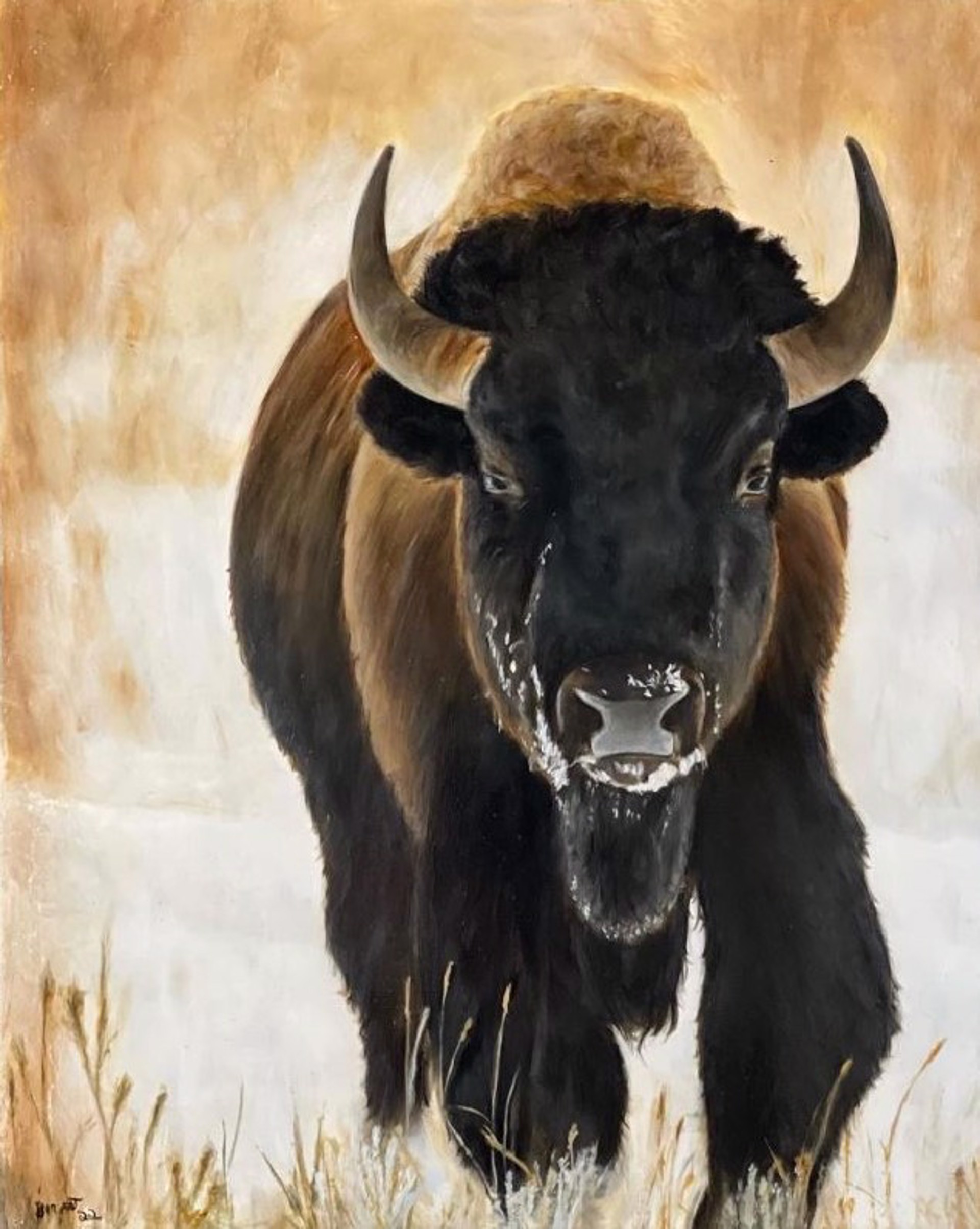 Bison by Todd Bergert