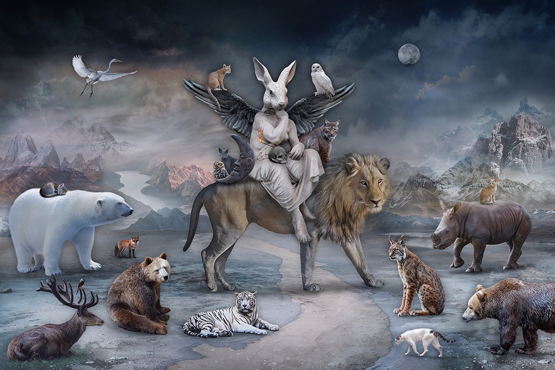 Queen of the Wild Hearts by Marcin Owczarek
