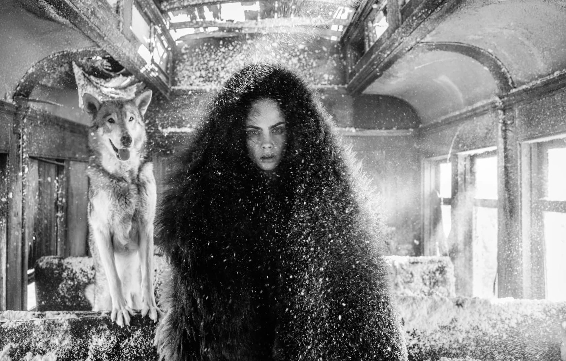 The Girl Who Cried Wolf by David Yarrow
