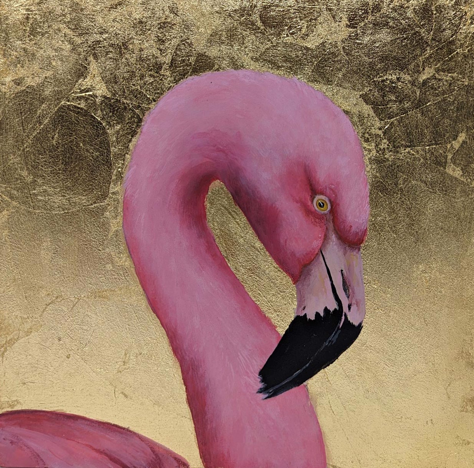 Flamingo by Megan Buccere