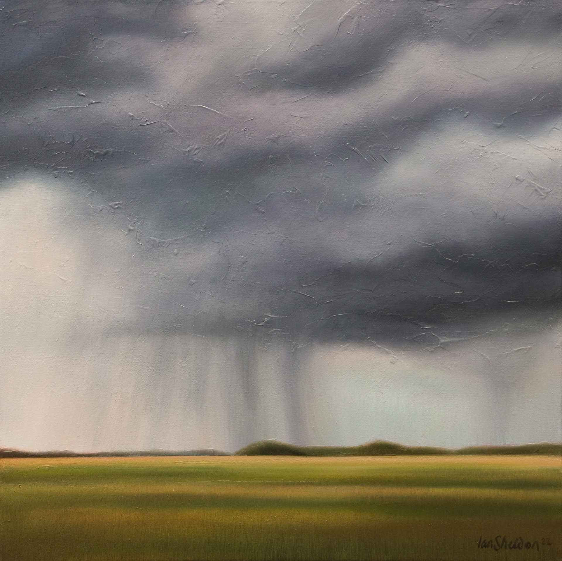 Soft Rain by Ian Sheldon