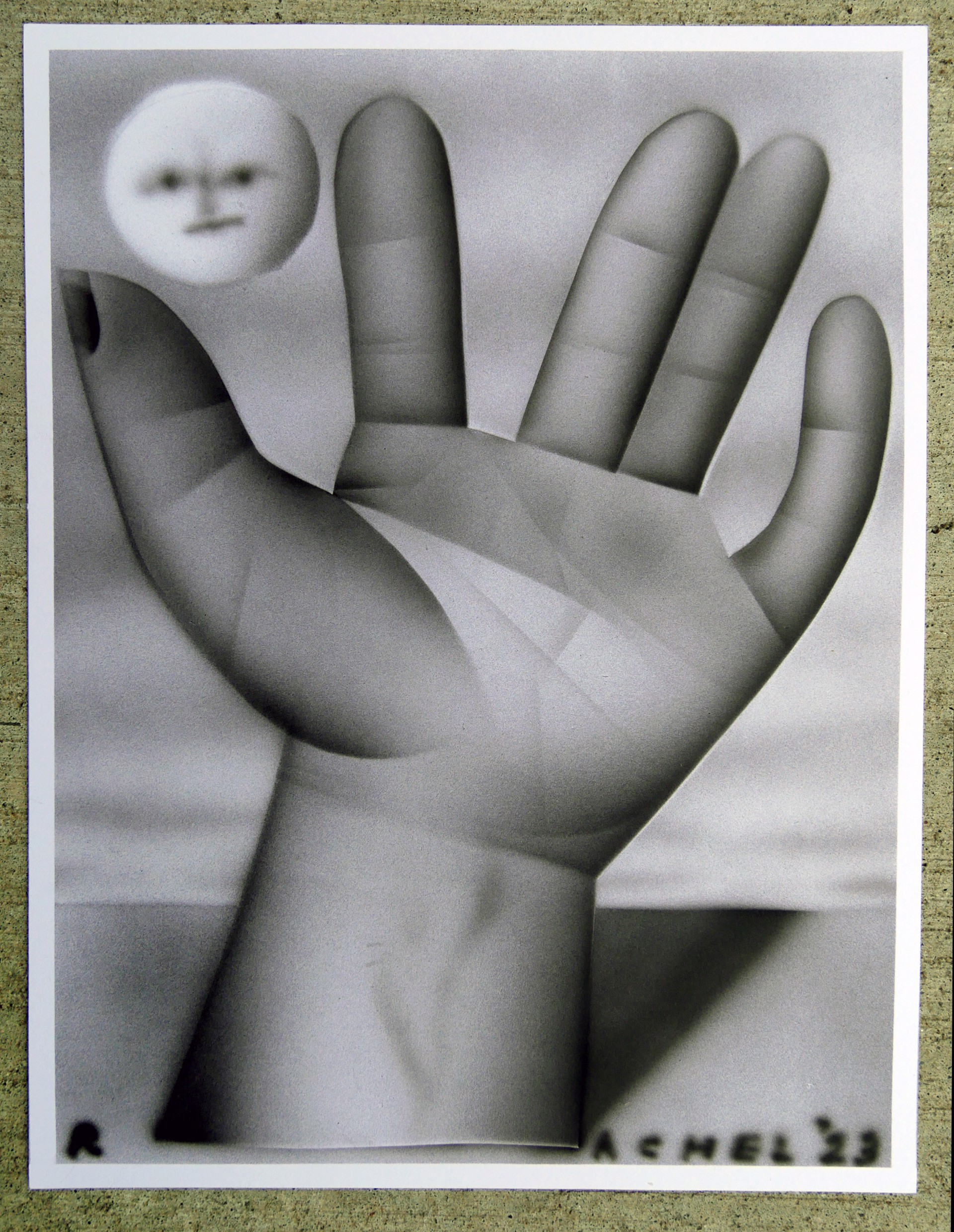 hand like a tree by Rachel Hayden