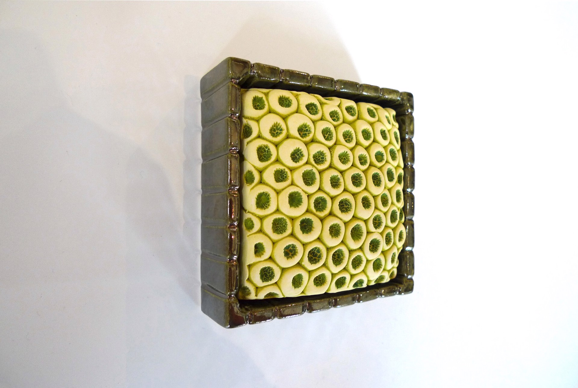 Garden Wall Box by Rachelle Miller