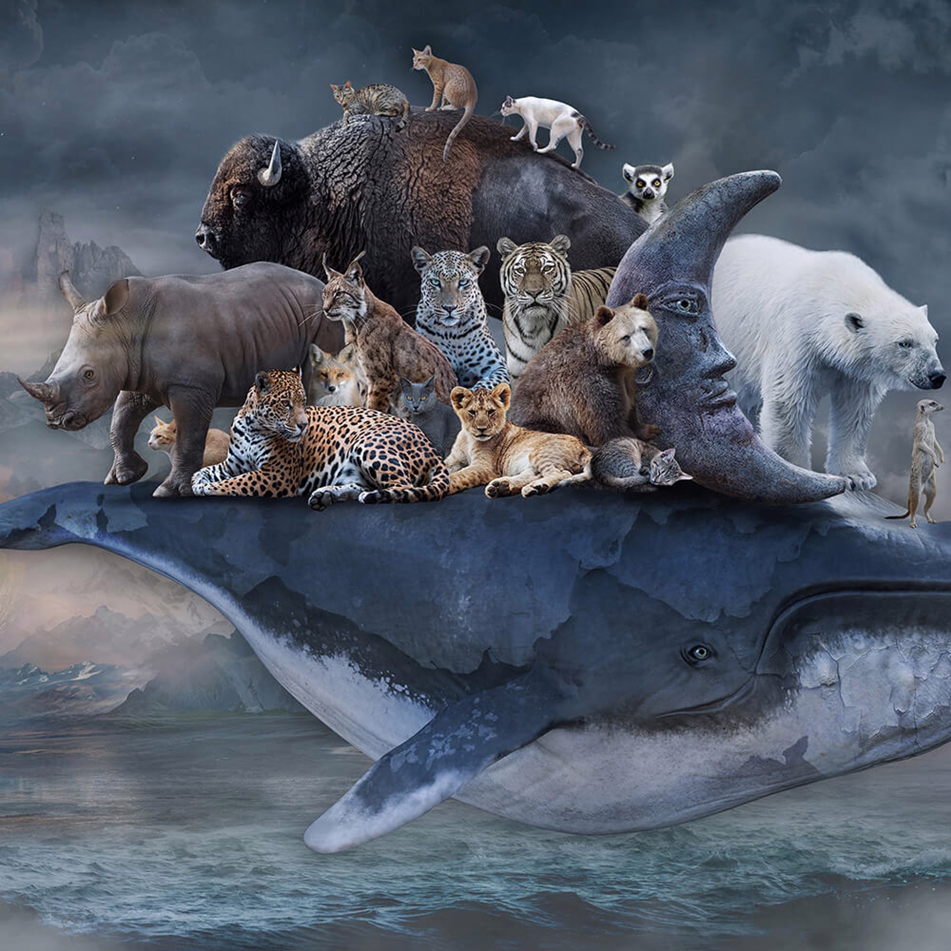 Shelter - Spirit of the Whale by Marcin Owczarek