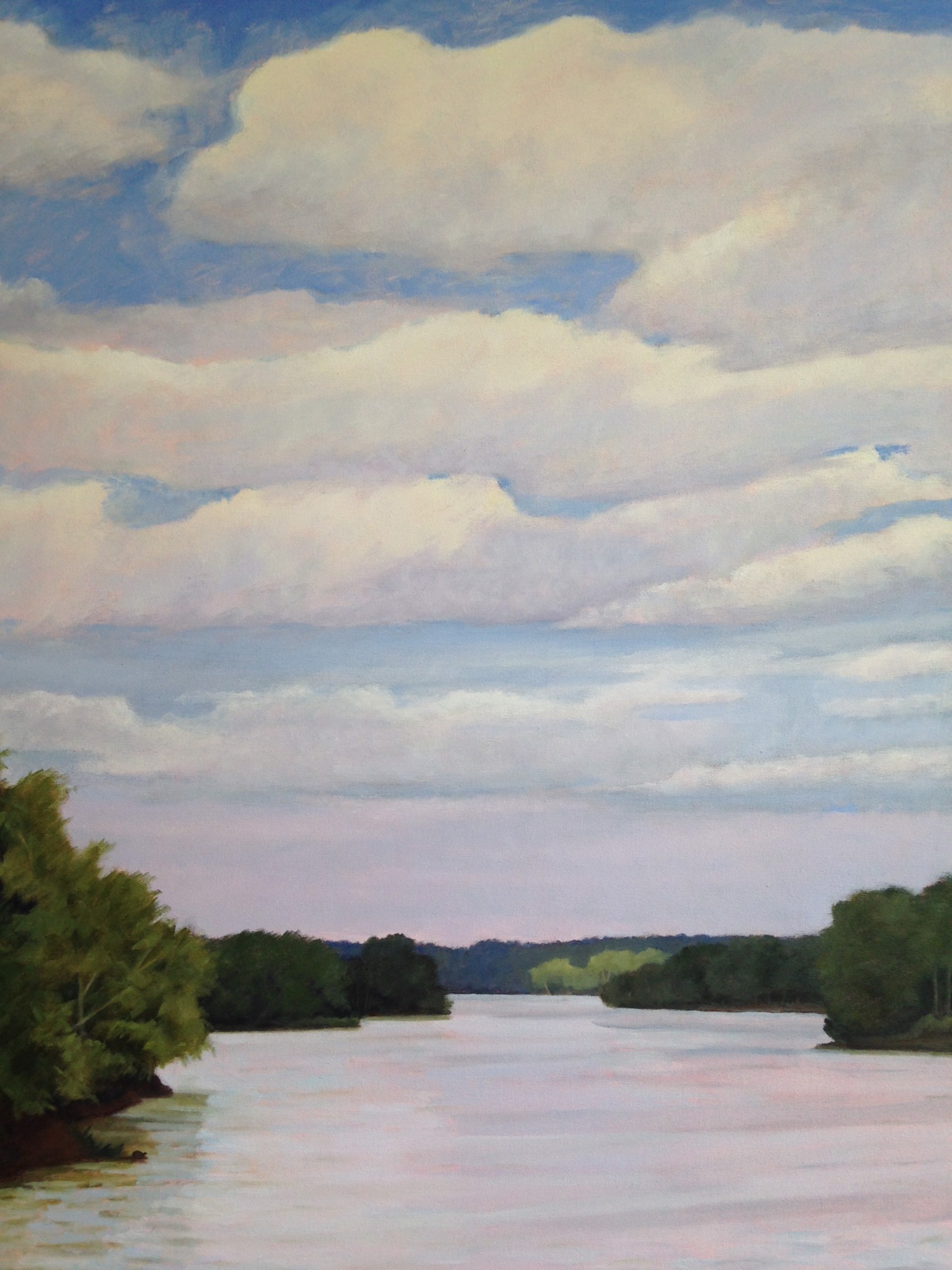 James River, Basking in the Sun by Sherwin Ghaphery