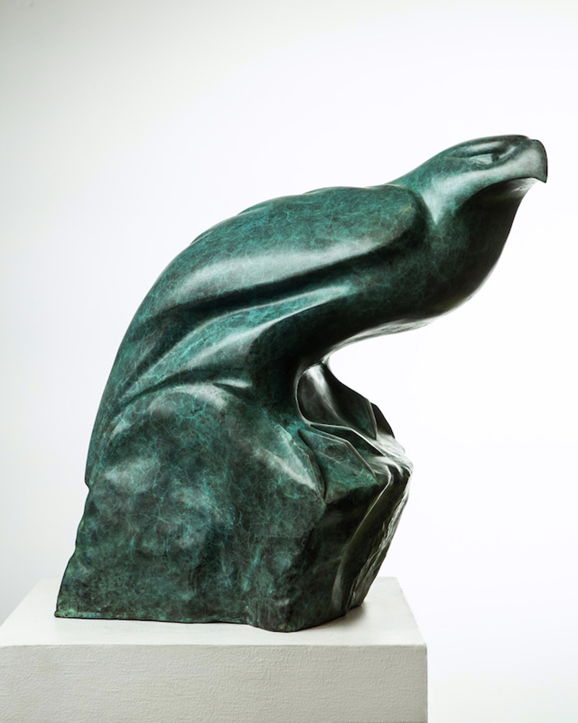 From the Edge of Beauty - Eagle by Cathryn Jenkins
