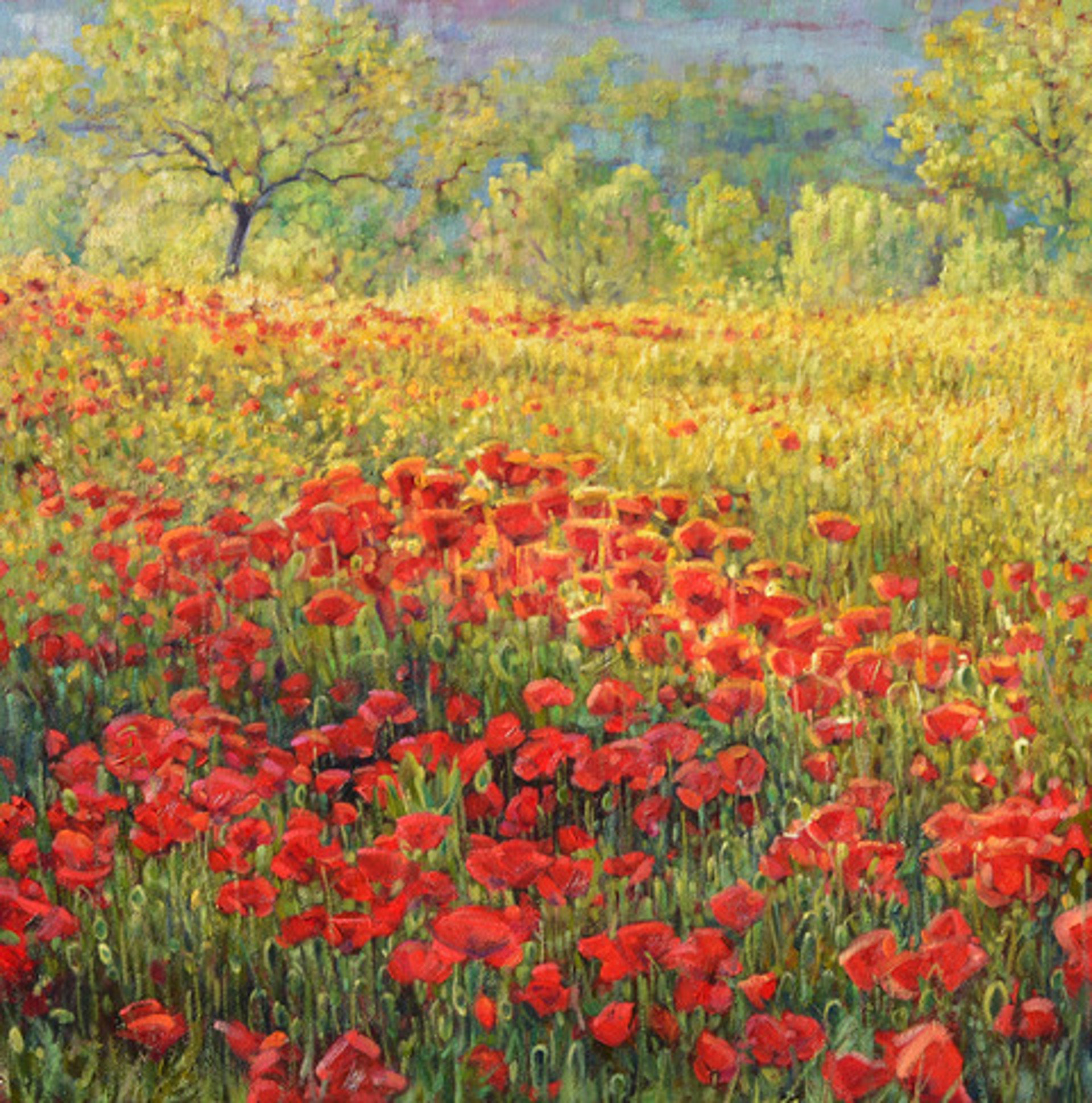Morning Poppies - SOLD by Commission Possibilities / Previously Sold ZX