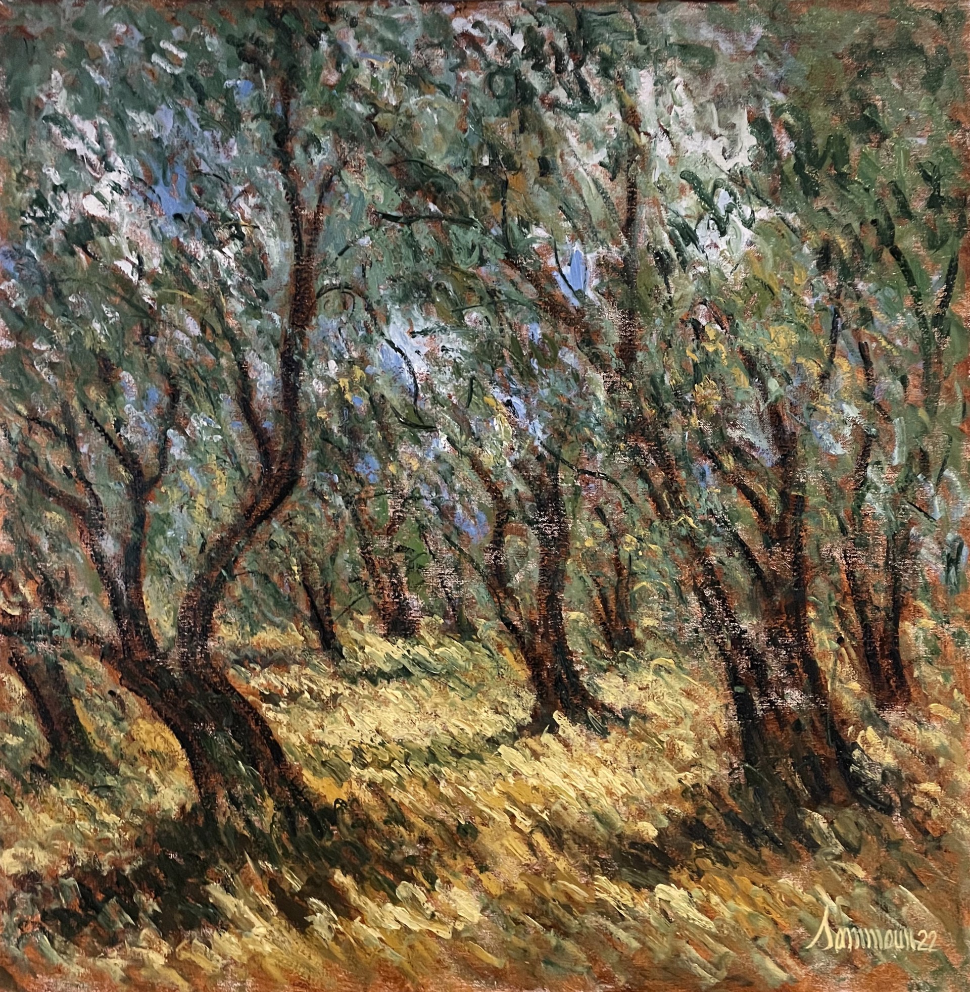 Champ des oliviers en Septembre by Samir Sammoun