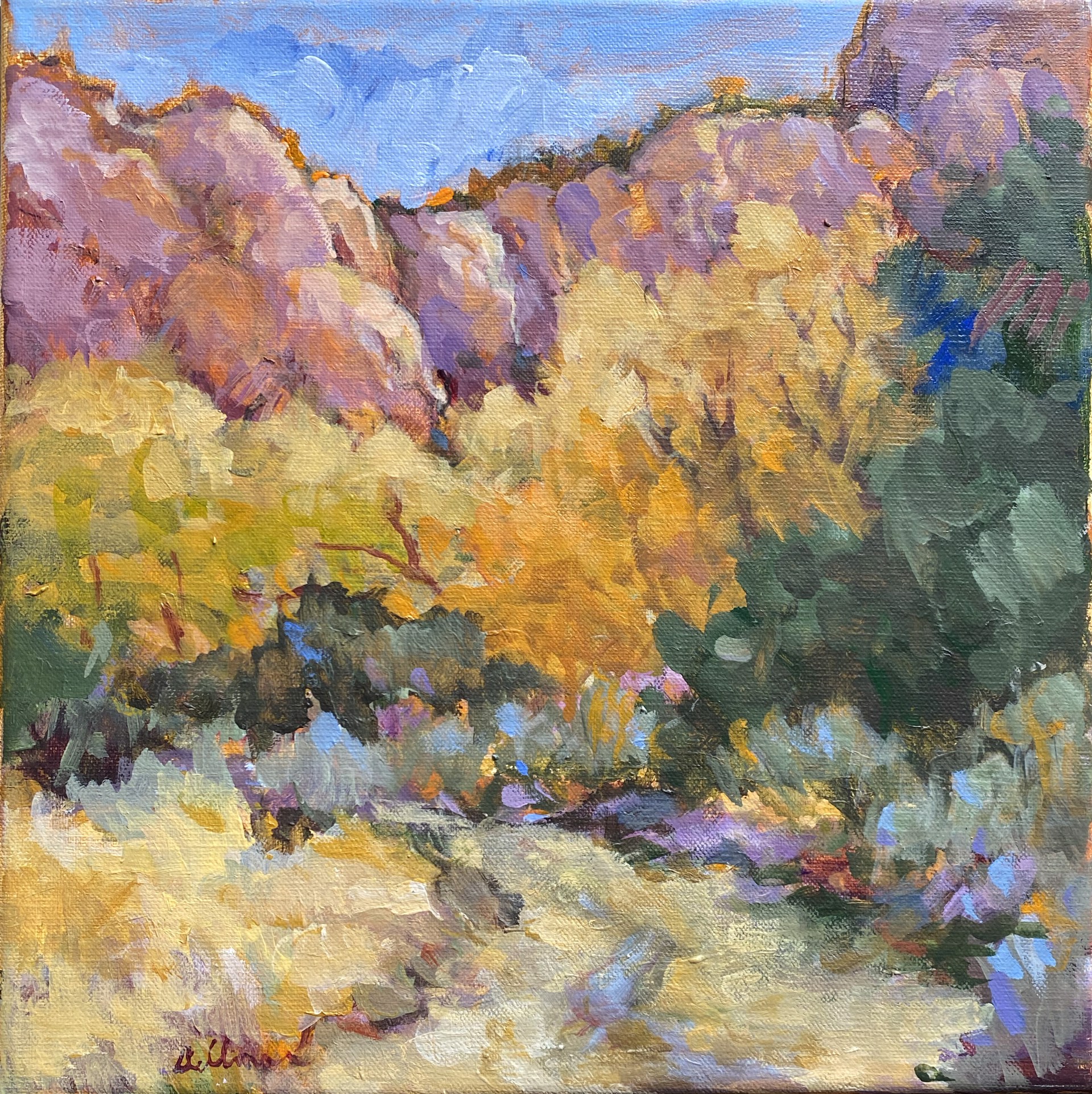 Ghost Ranch, Morning by Connie Dillman