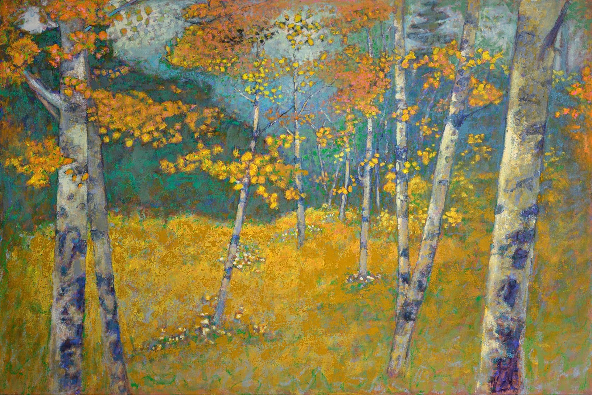 Aspen Meadow in Fall by Richard Stevens