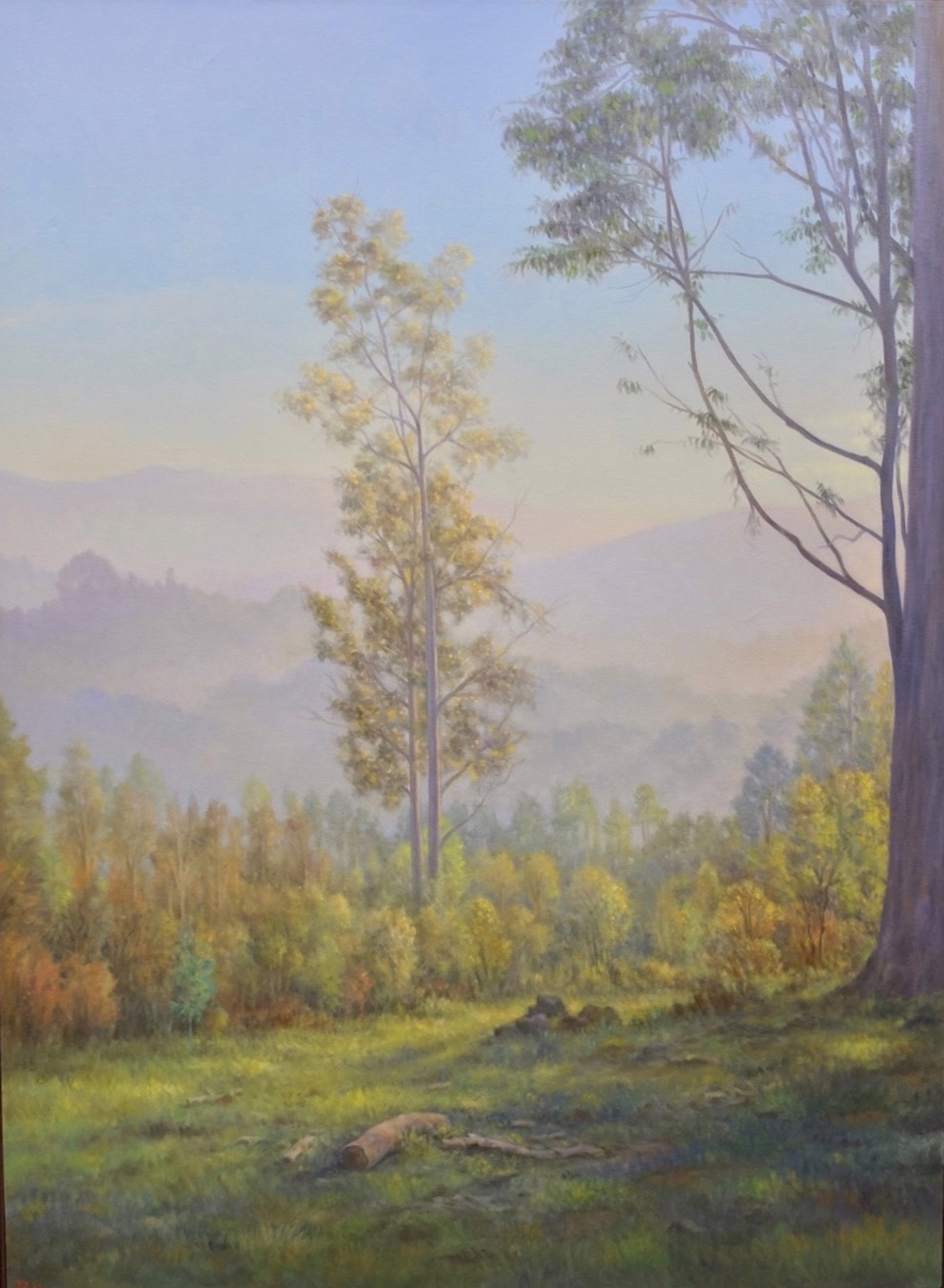 The Eucalyptus by Willard Dixon