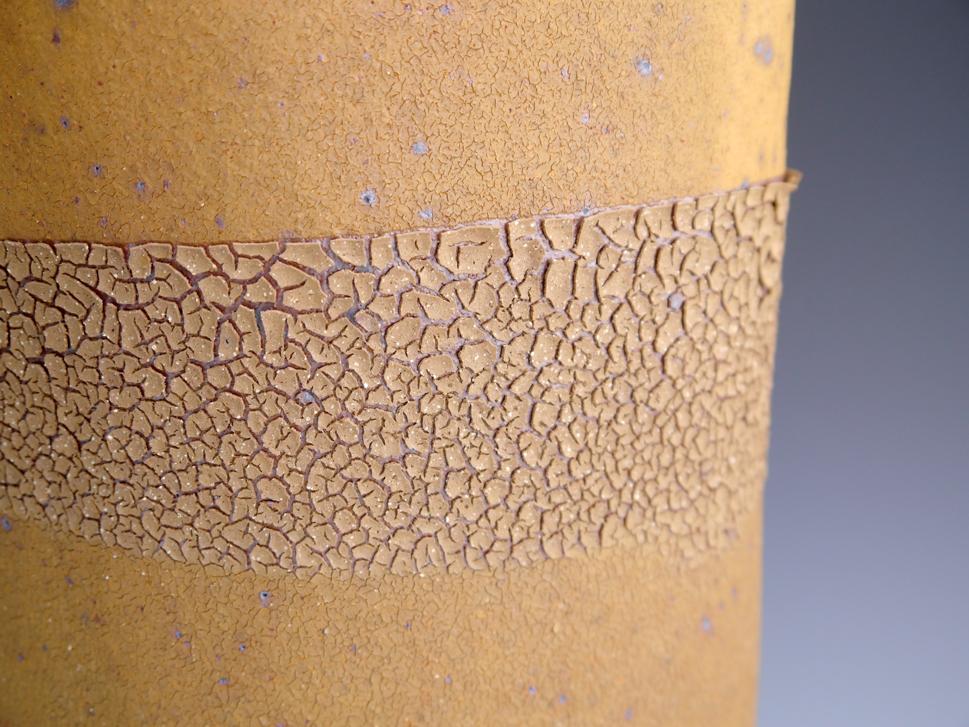 Tall Scored Bottle with Rust Accretion  by Jane Wheeler