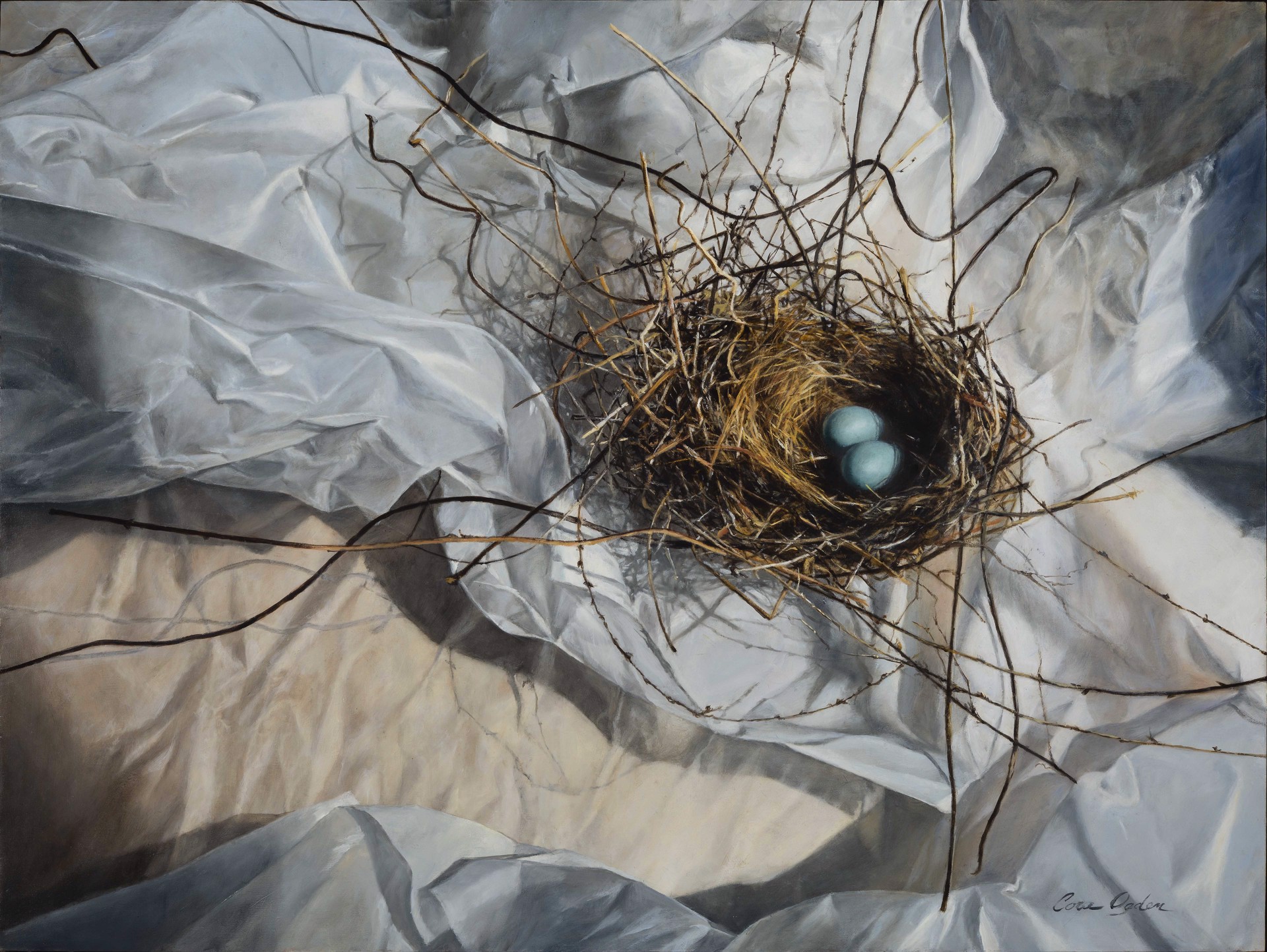 Nest with Eggs by Cora Ogden