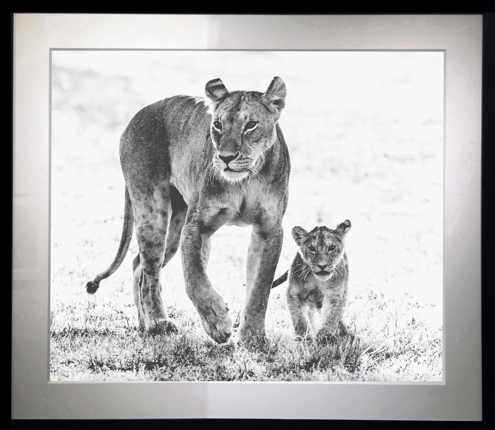 Mother's Day by David Yarrow