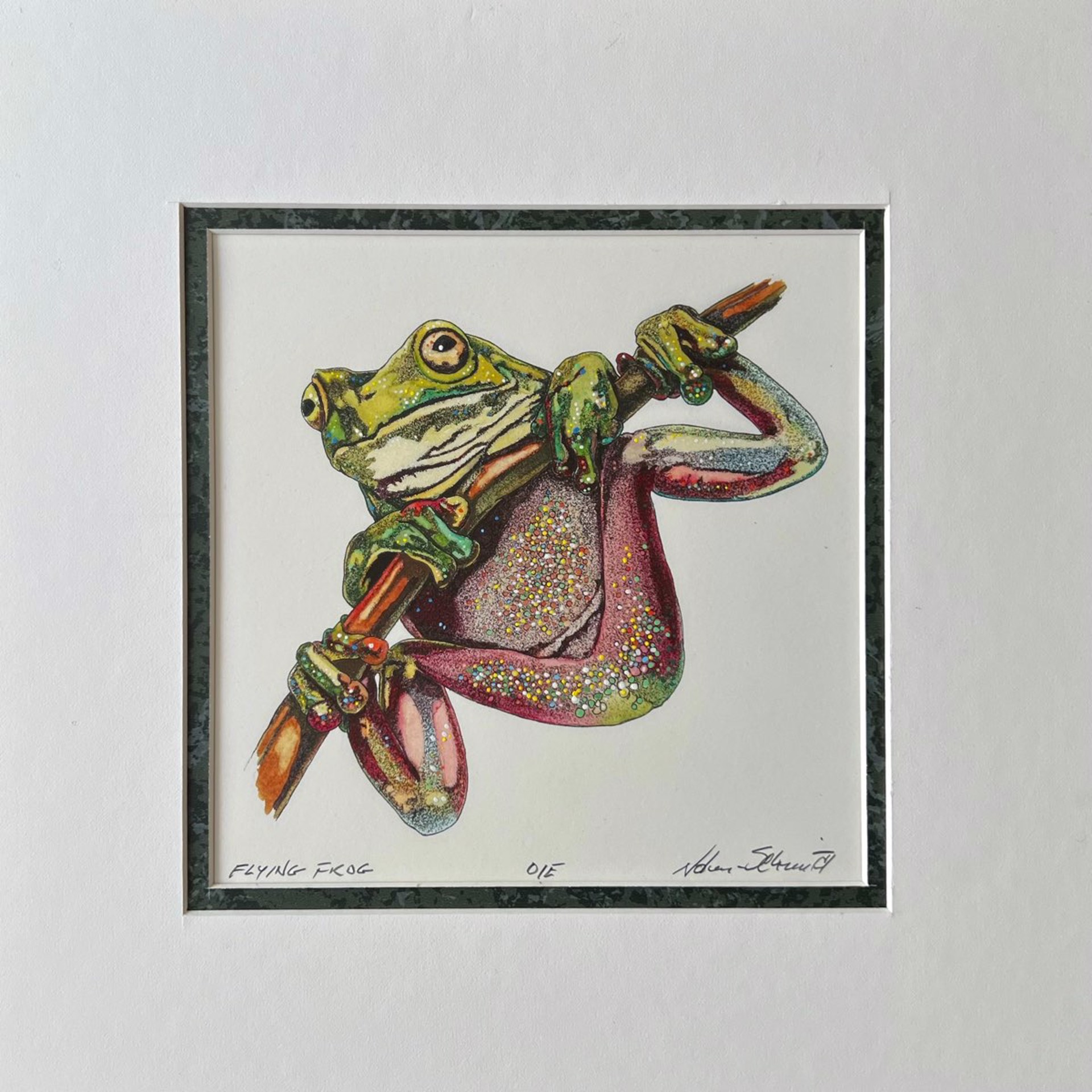Flying Frog by William Nolen-Schmidt