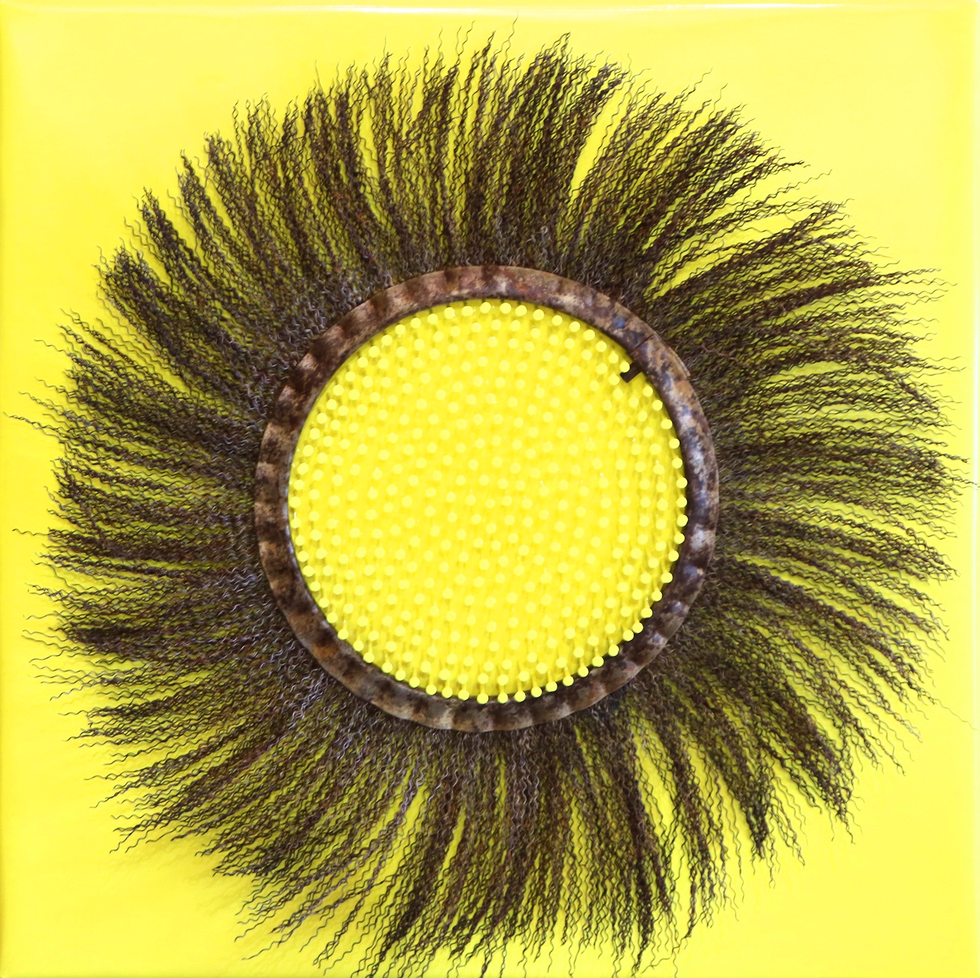 Yellow Flower by Steve Jones