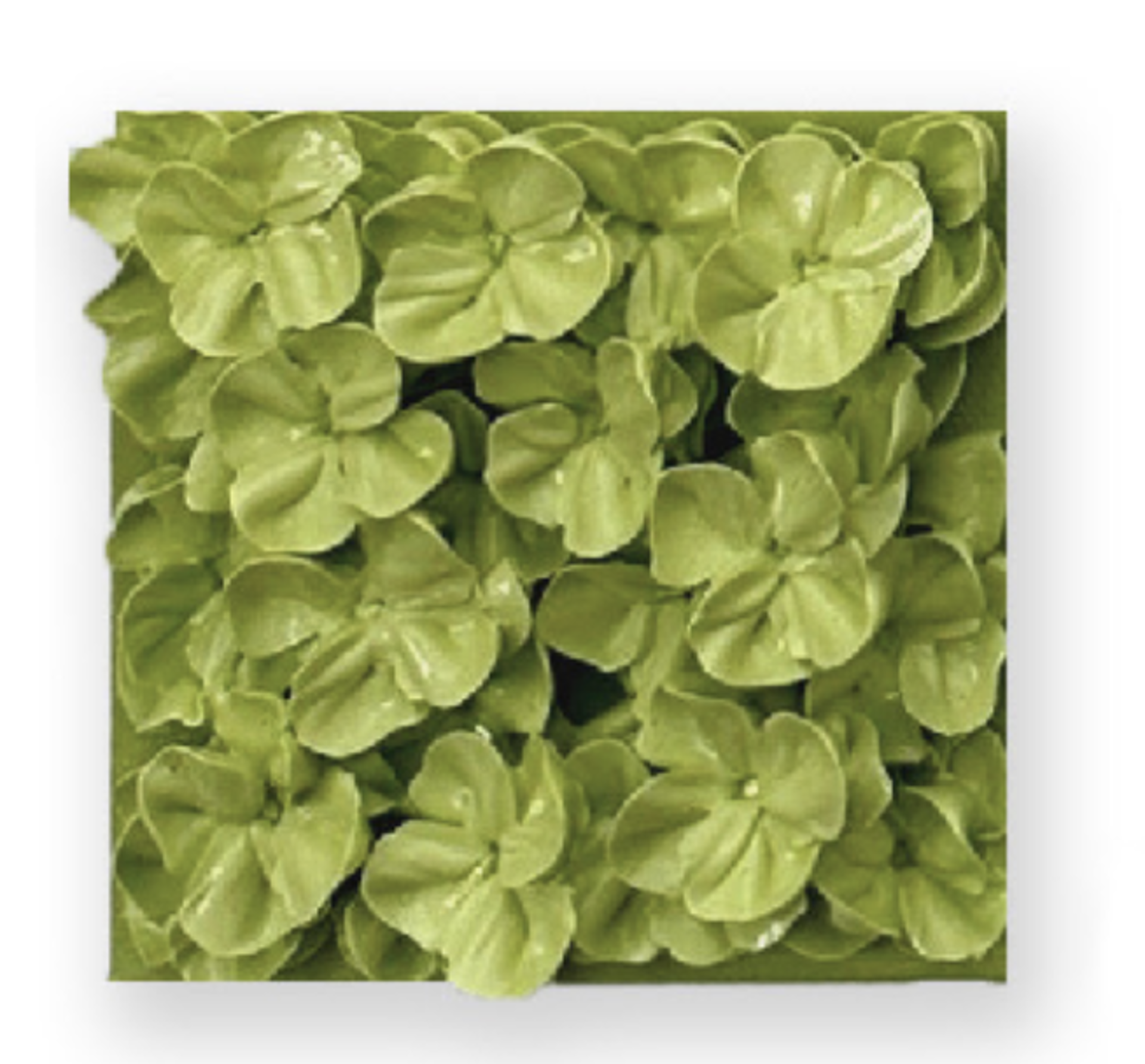 Mini Series - green by Christine Tonolini