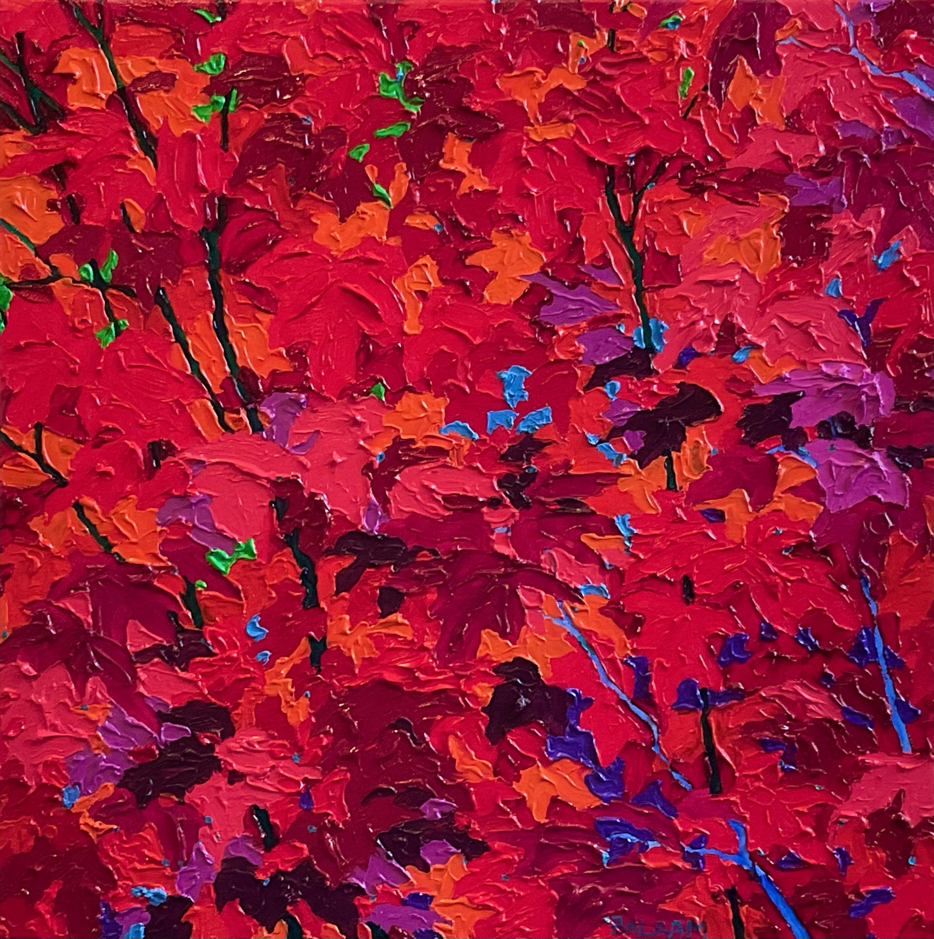 Autumn Maple Passion by Frank Balaam