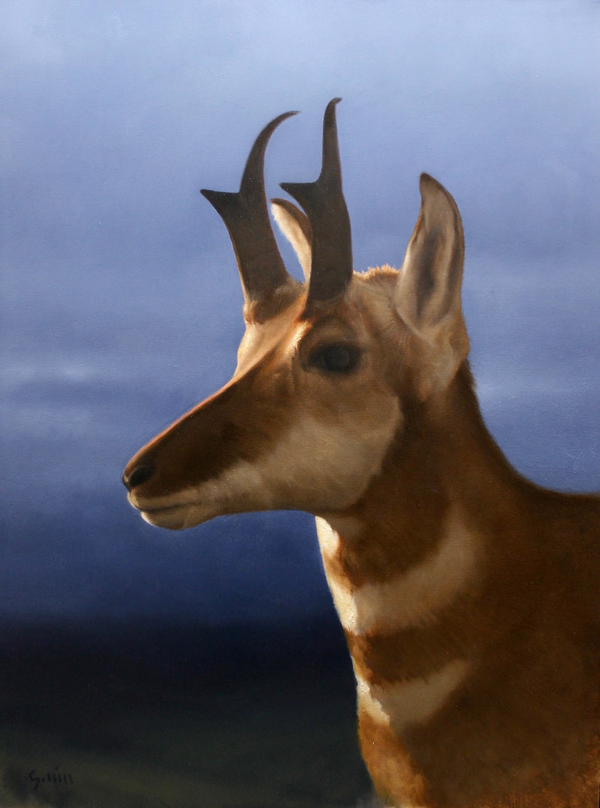 Original Oil Painting Featuring A Pronghorn Over Stormy Background