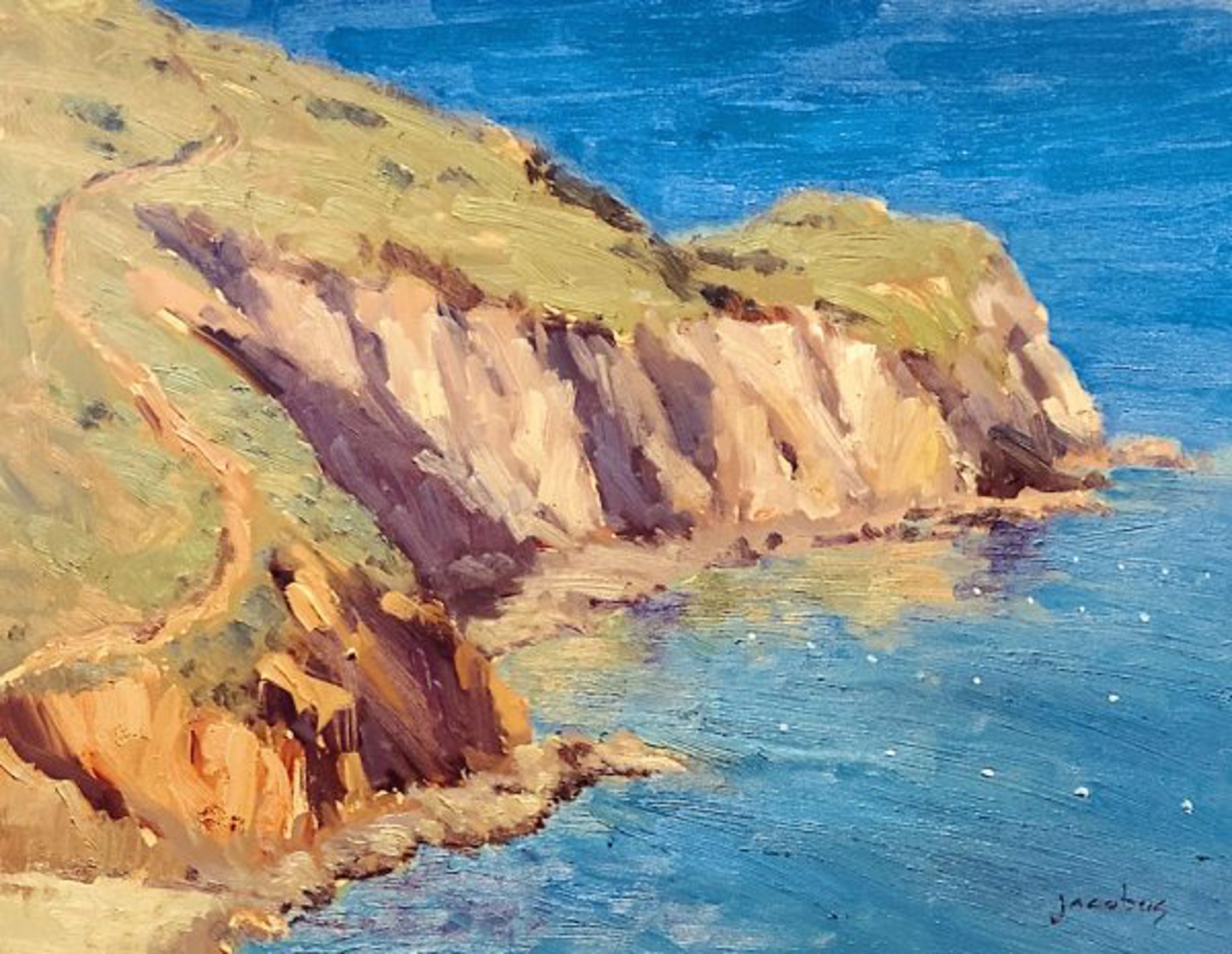 Cherry Cove, Catalina by Jacobus Baas