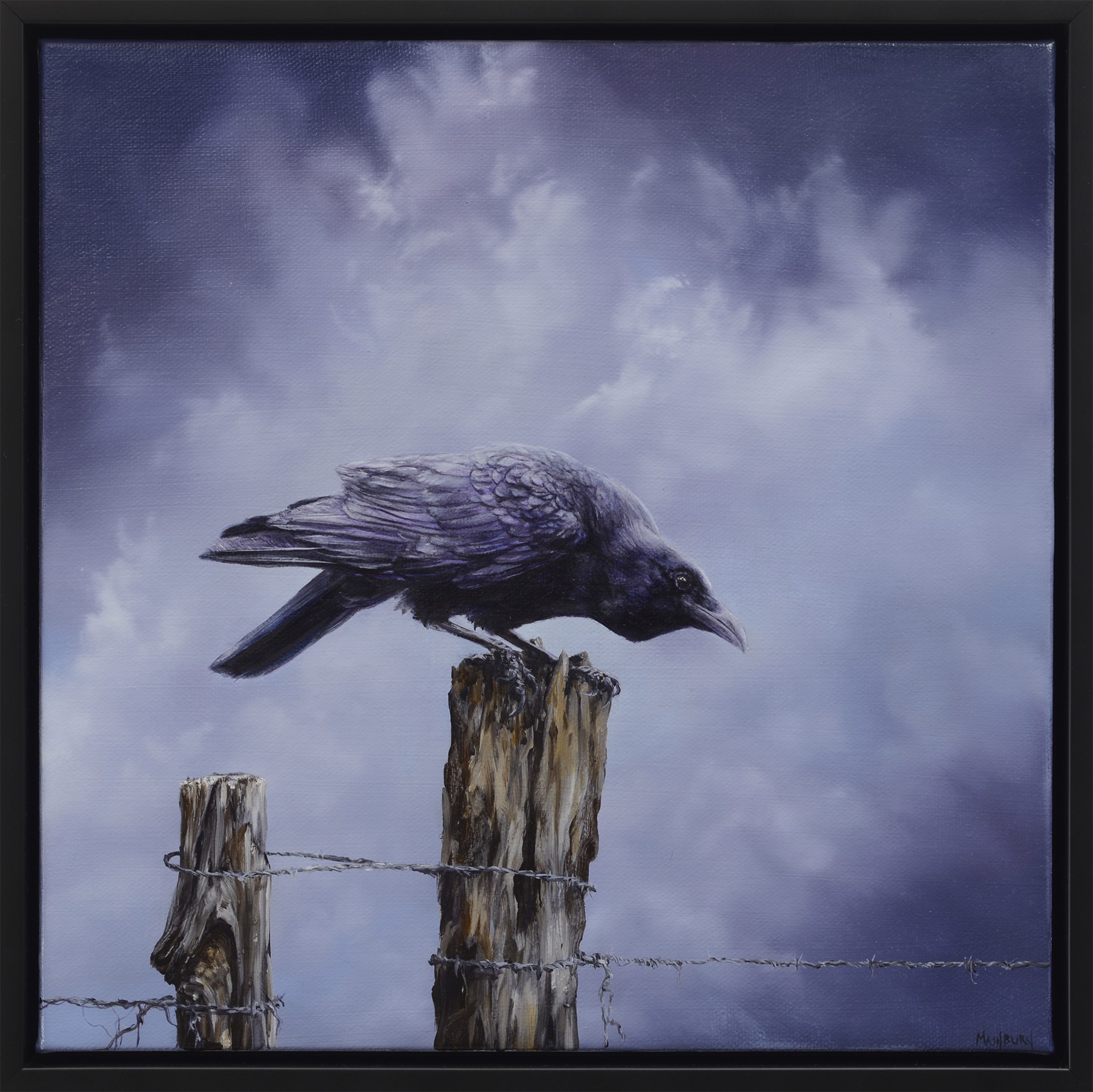 Crow Perched on a Fence Post by Brian Mashburn