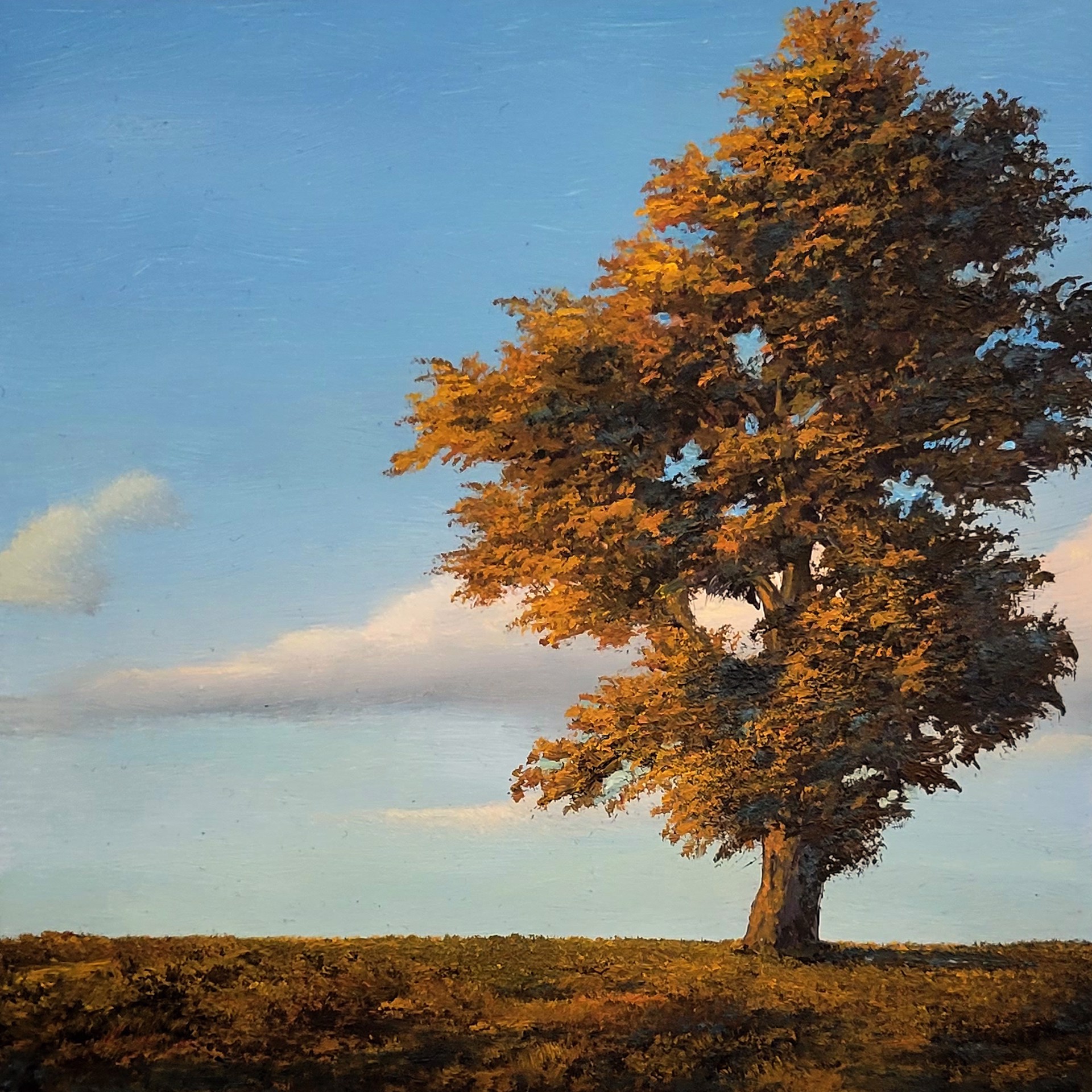 One Tree by Greg Skol