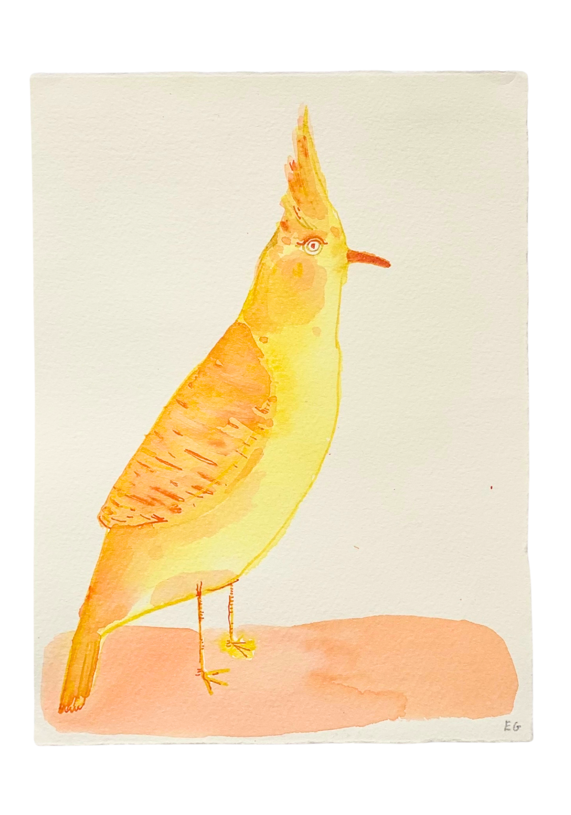 Inkwash Bird by ELIZABETH GRAEBER