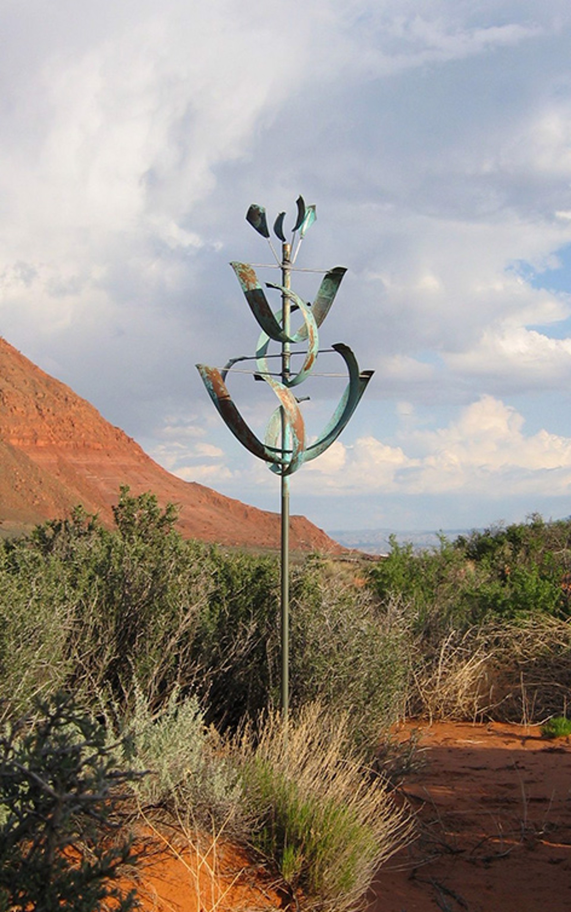 Desert Lily by Lyman Whitaker