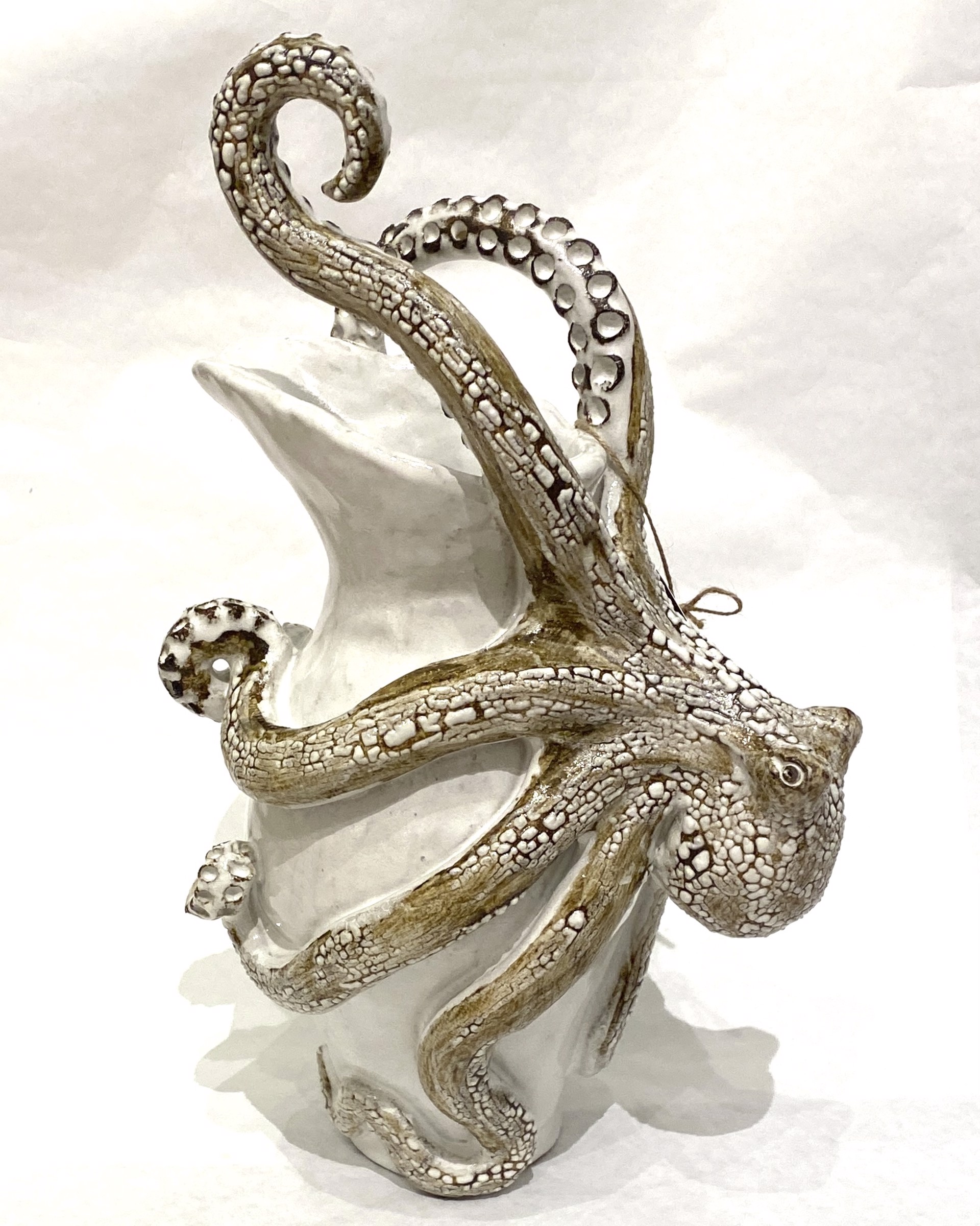 Octopus Pitcher by Shayne Greco