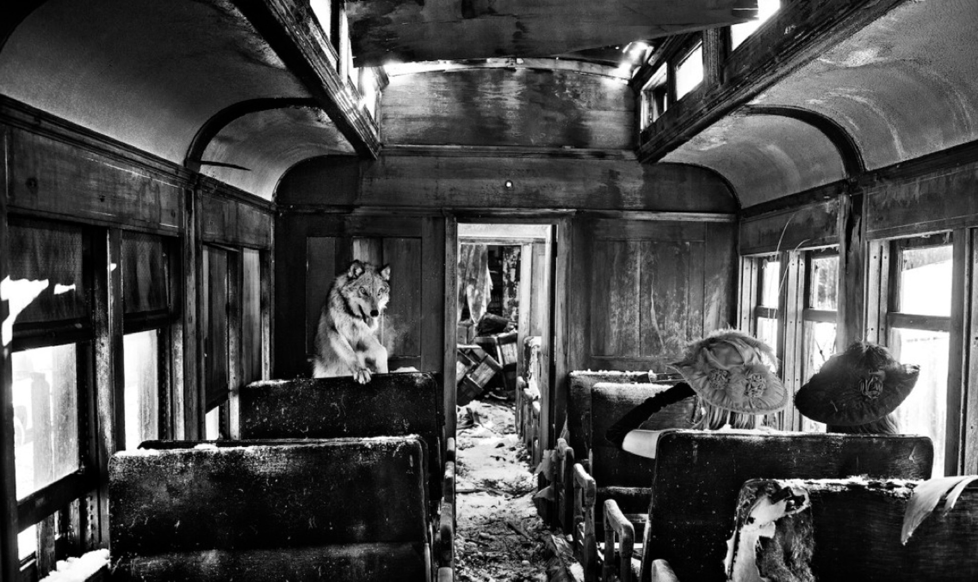 Ride the Ghost Train by David Yarrow