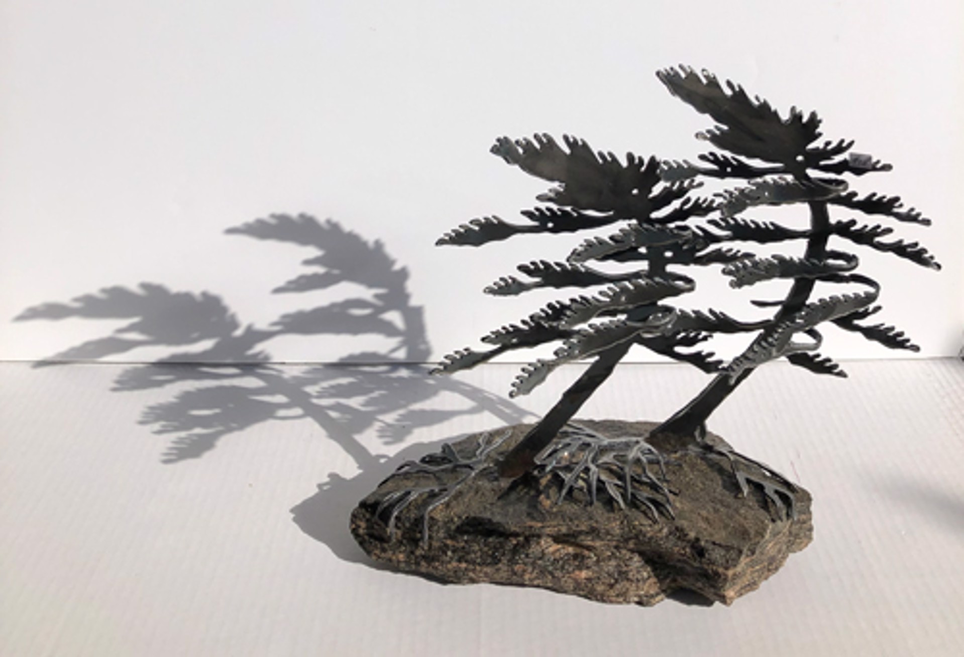 Two Windswept Pine 6131 by Cathy Mark
