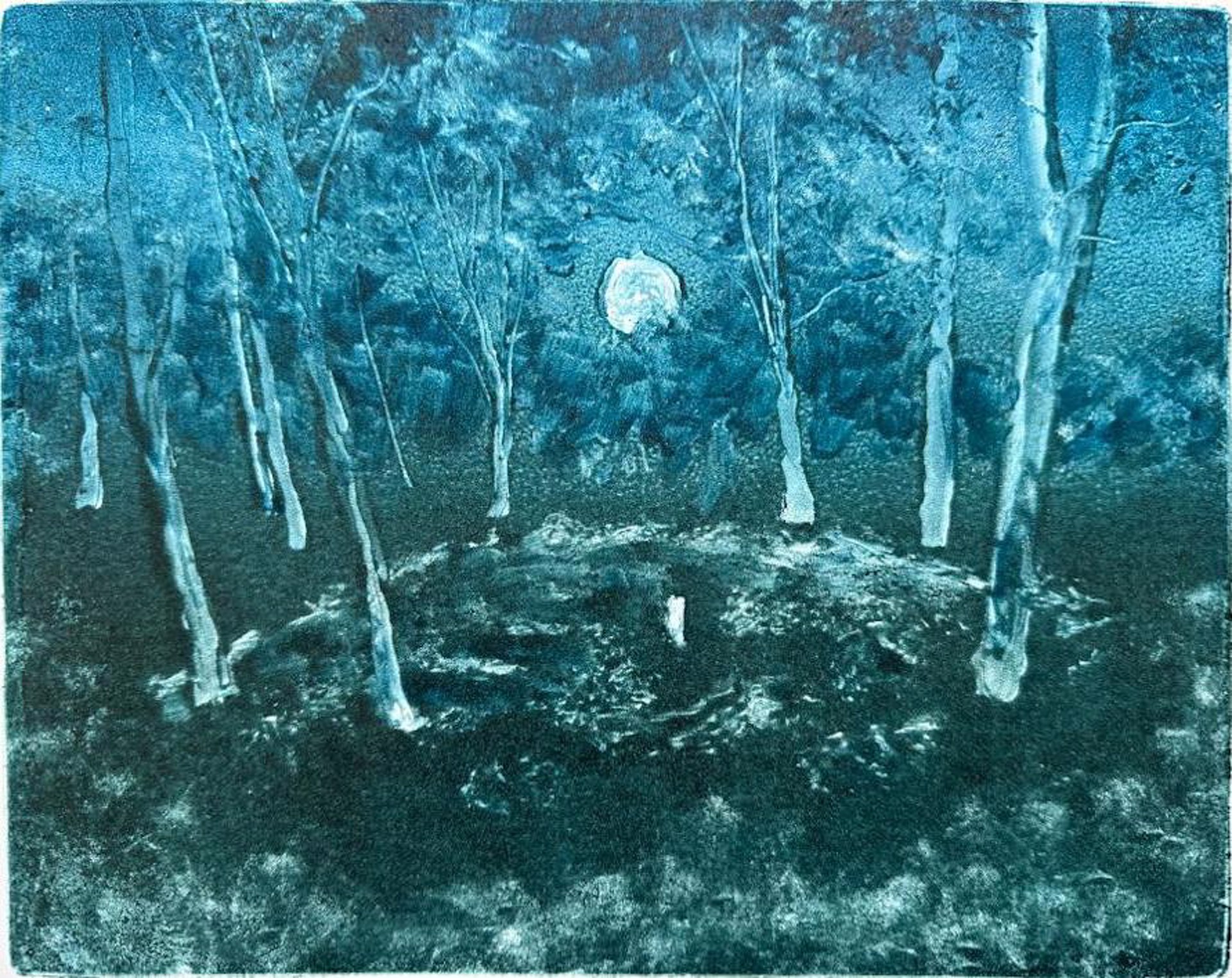 Fekjo (Moonlight) by Colleen Blackard