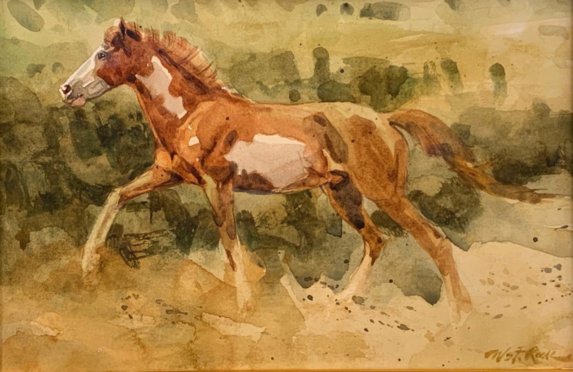Running Paint Horse by William F. Reese