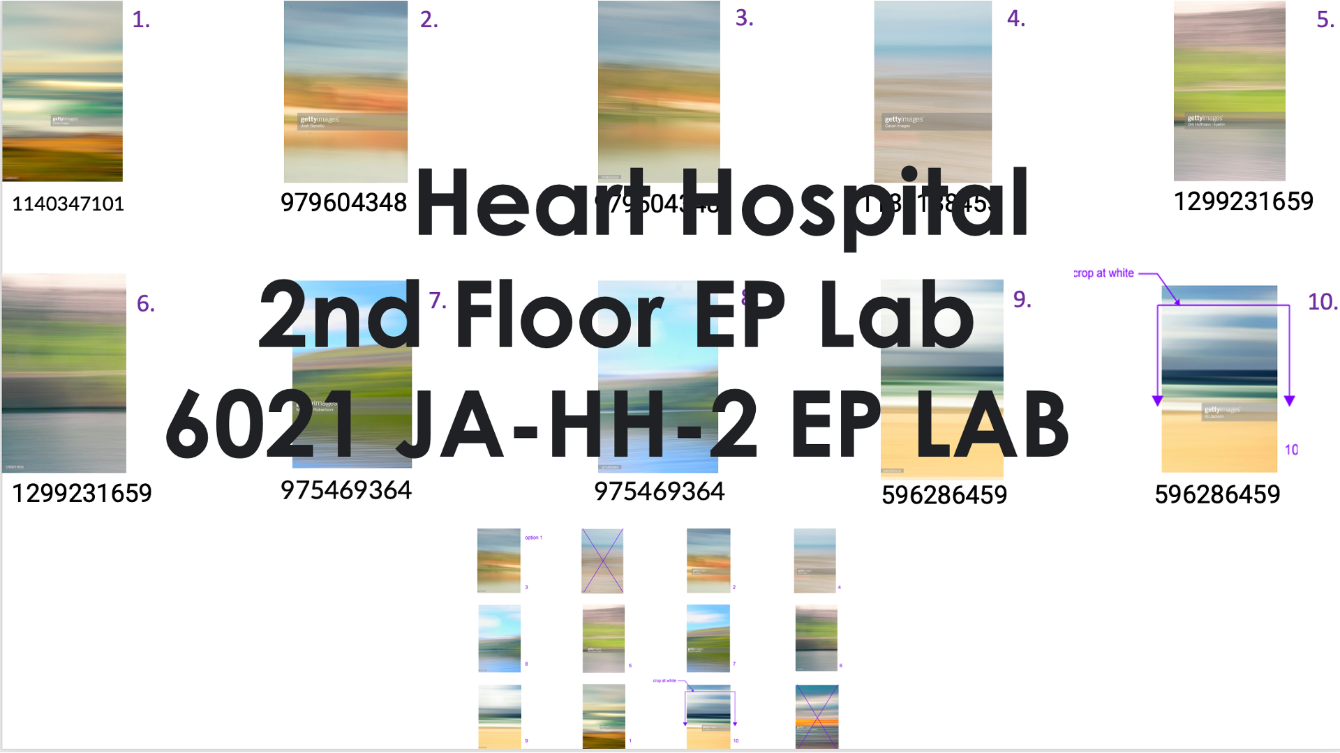 BMC Heart-6021 JA HH-2 EP Lab-10-exam- 36x24 5-WR/entry-  9-corridor/break- 6-office by Printwork