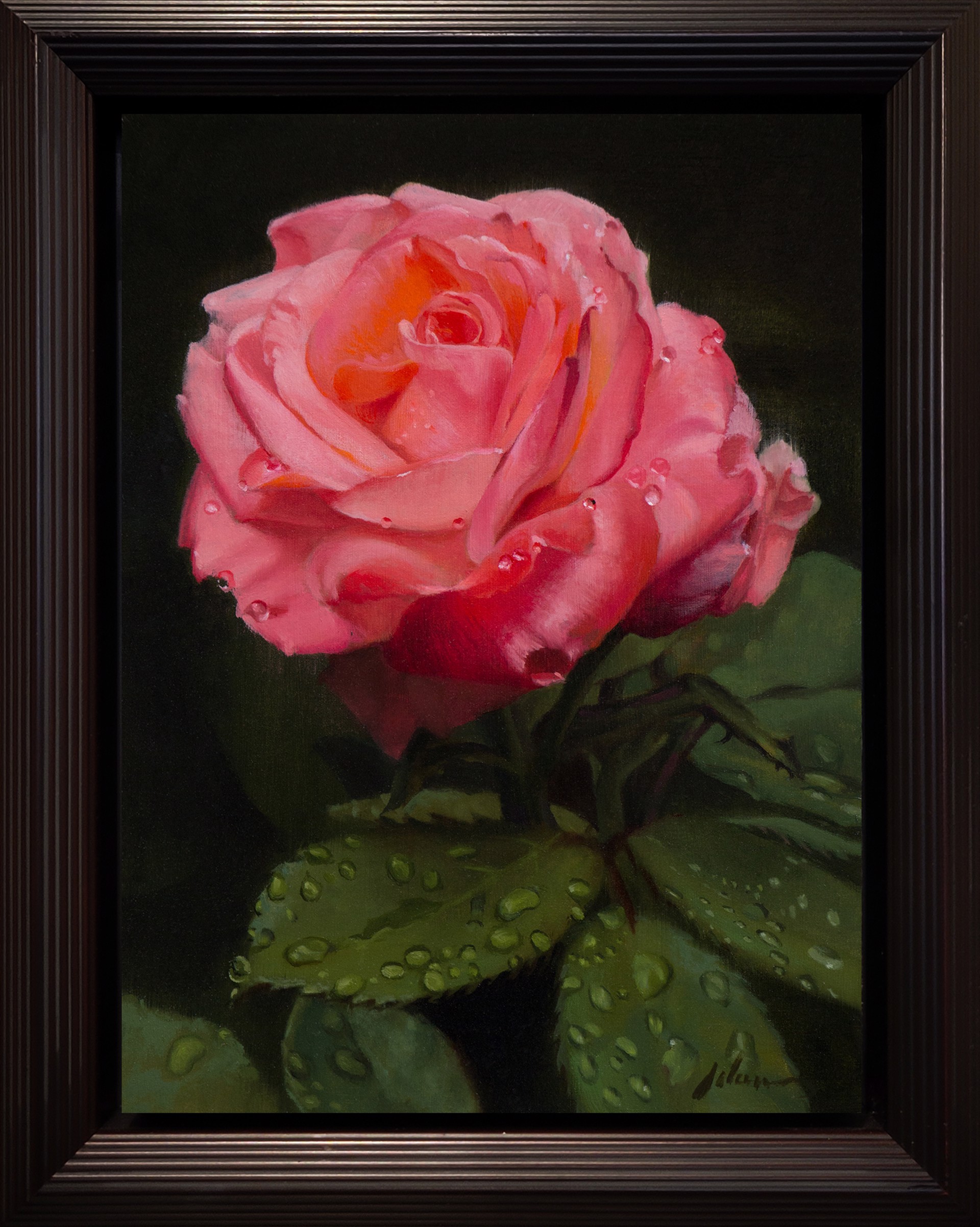 Pink Rose by Michael Lynn Adams