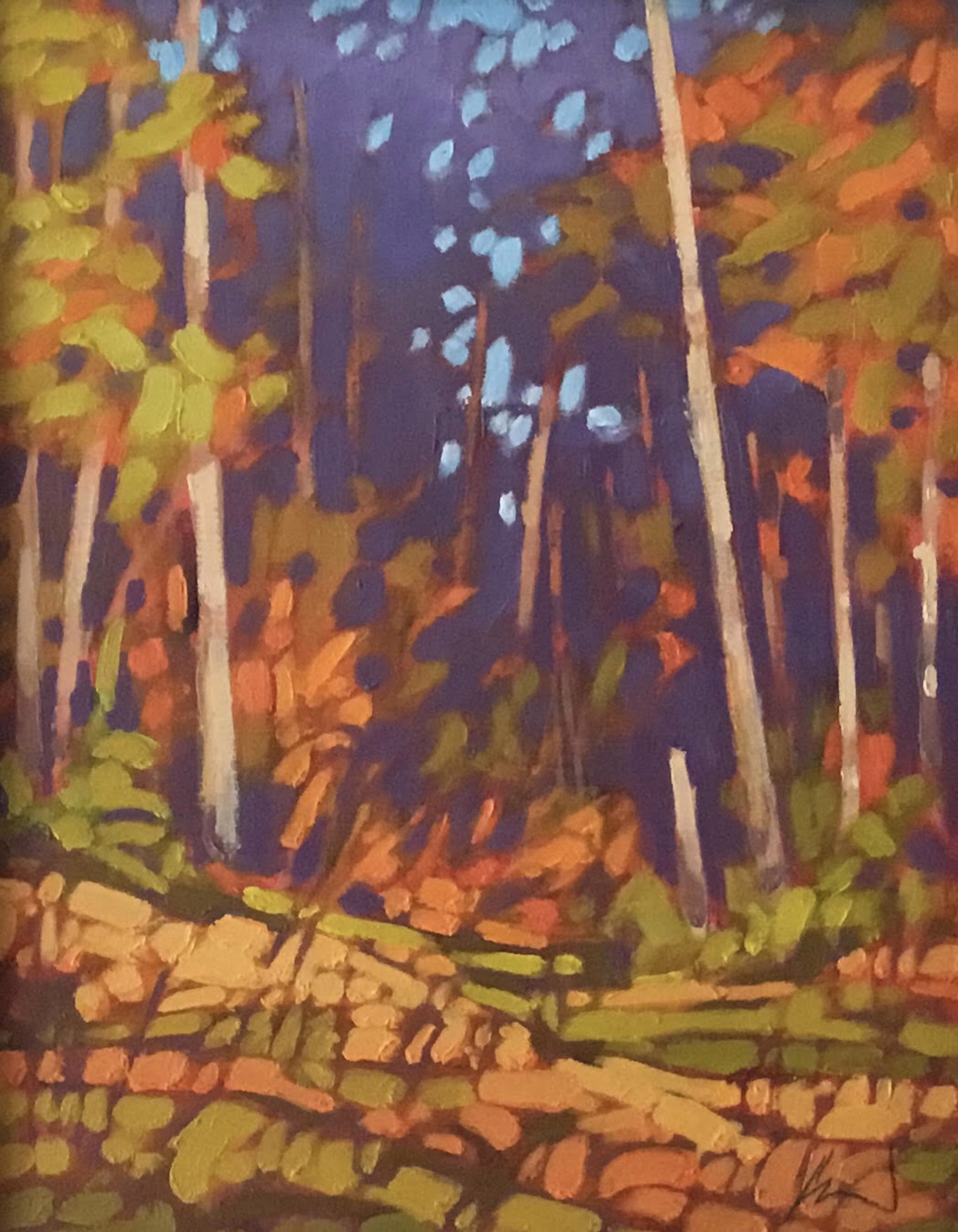 Forest Shadows by John Lennard