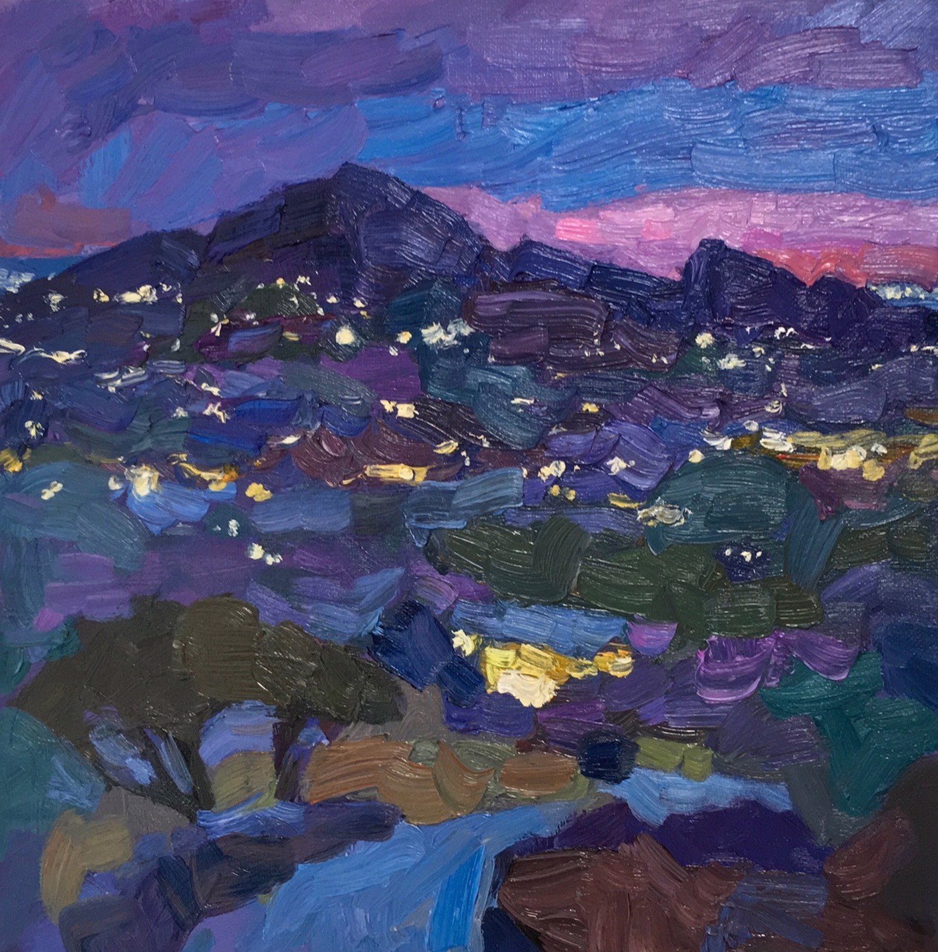 South View Camelback by Larisa Aukon