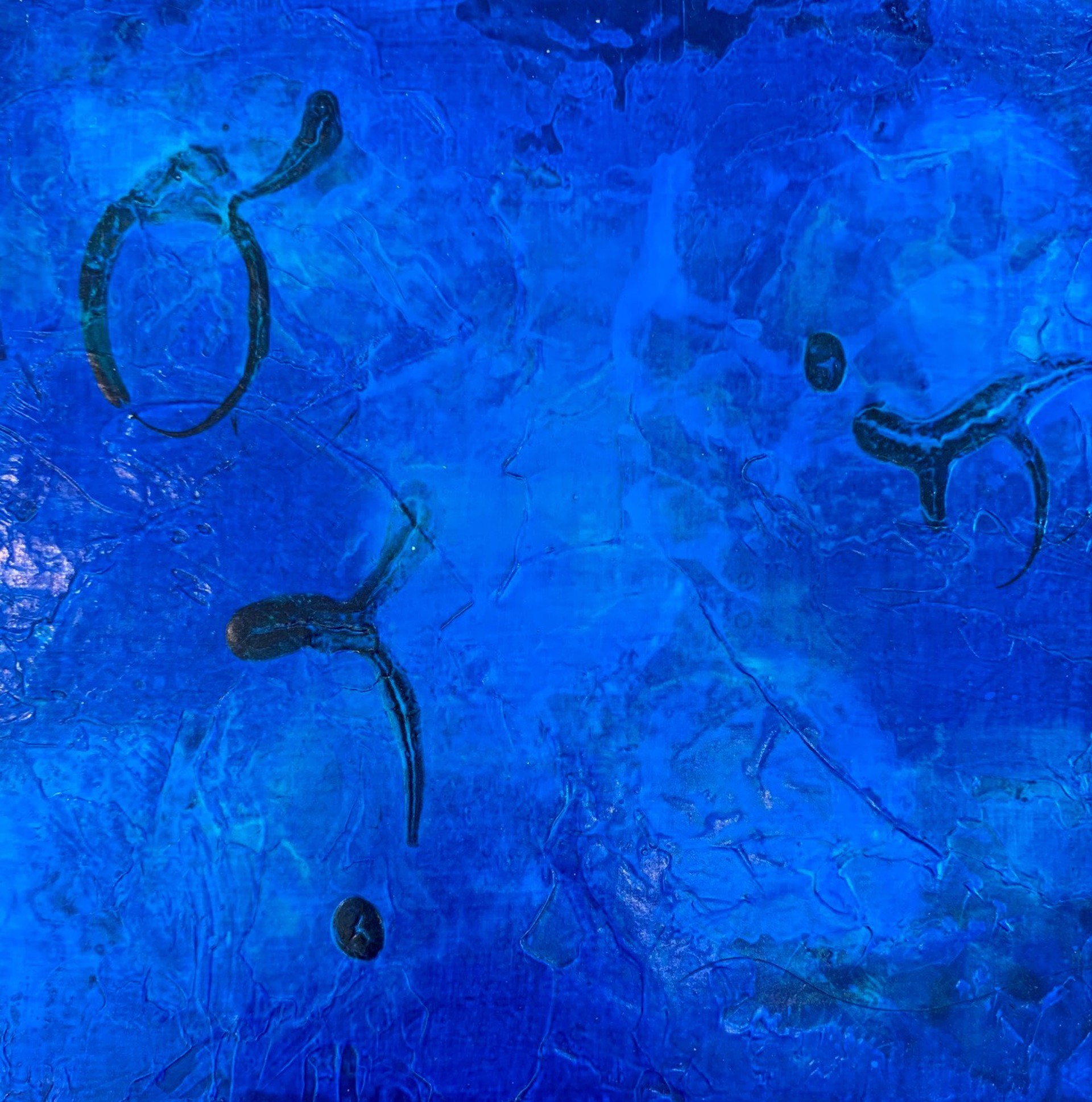 Dreams In Blue 6 by Julie Quinn